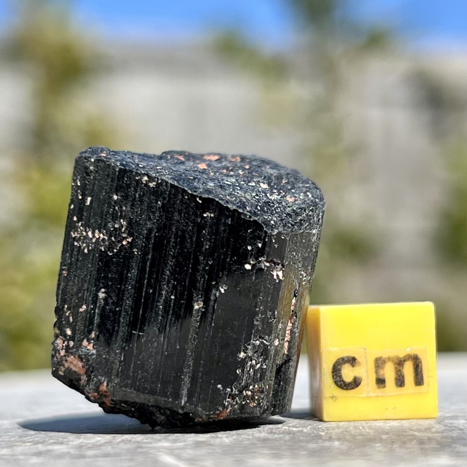 Black Tourmaline Madagascar Natural Schorl Crystal Mineral Specimen 15-40mm Genuine Collector Display Stone with Certificate