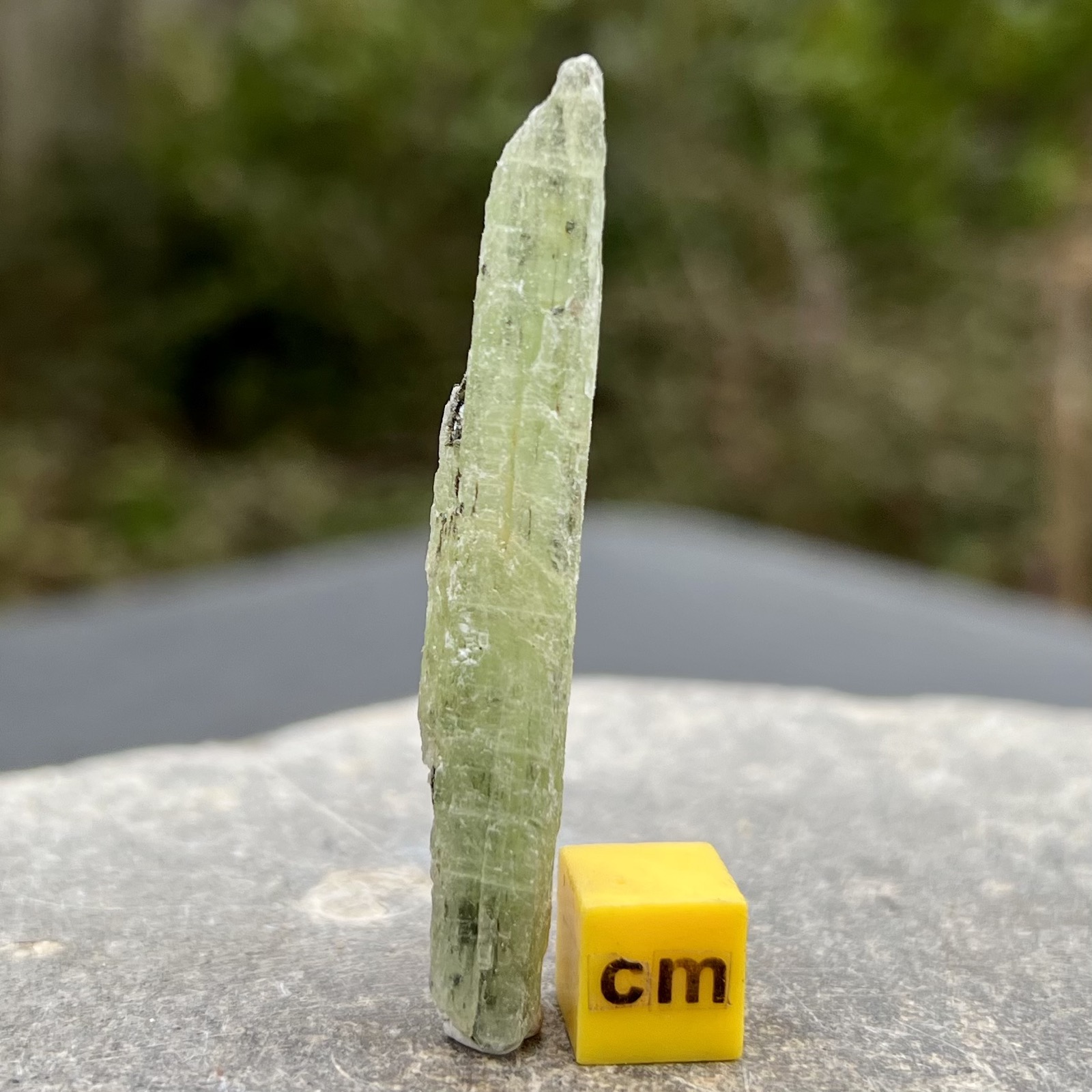 Green Kyanite Crystal Mineral Specimen Brazil Natural Bladed Stone 30-60mm