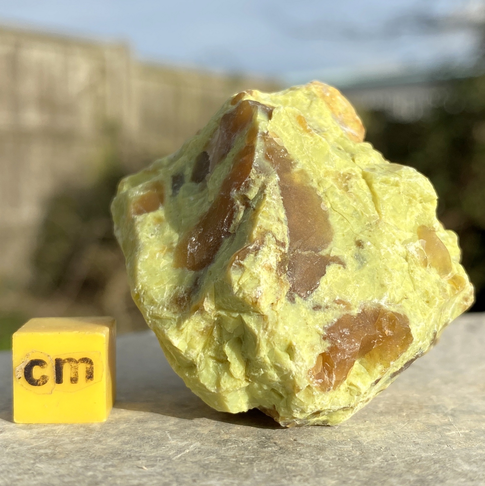 Natural Rough Opal Madagascar Mineral Specimen 20-40mm Raw Precious Stone