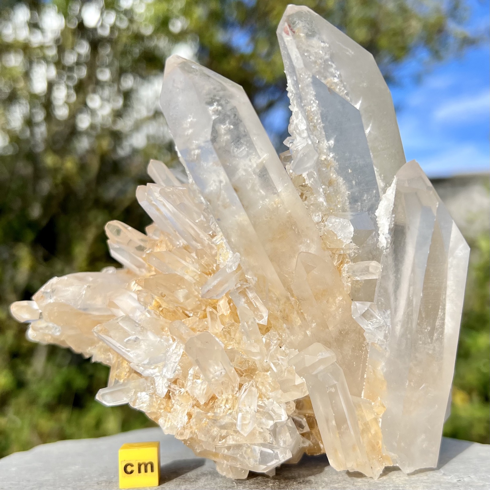 Quartz Crystal Group Mineral Specimen Madagascar Large Natural Cluster 130-160mm