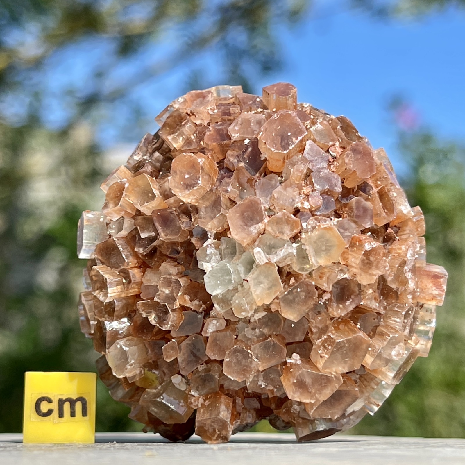 Aragonite Sputniks