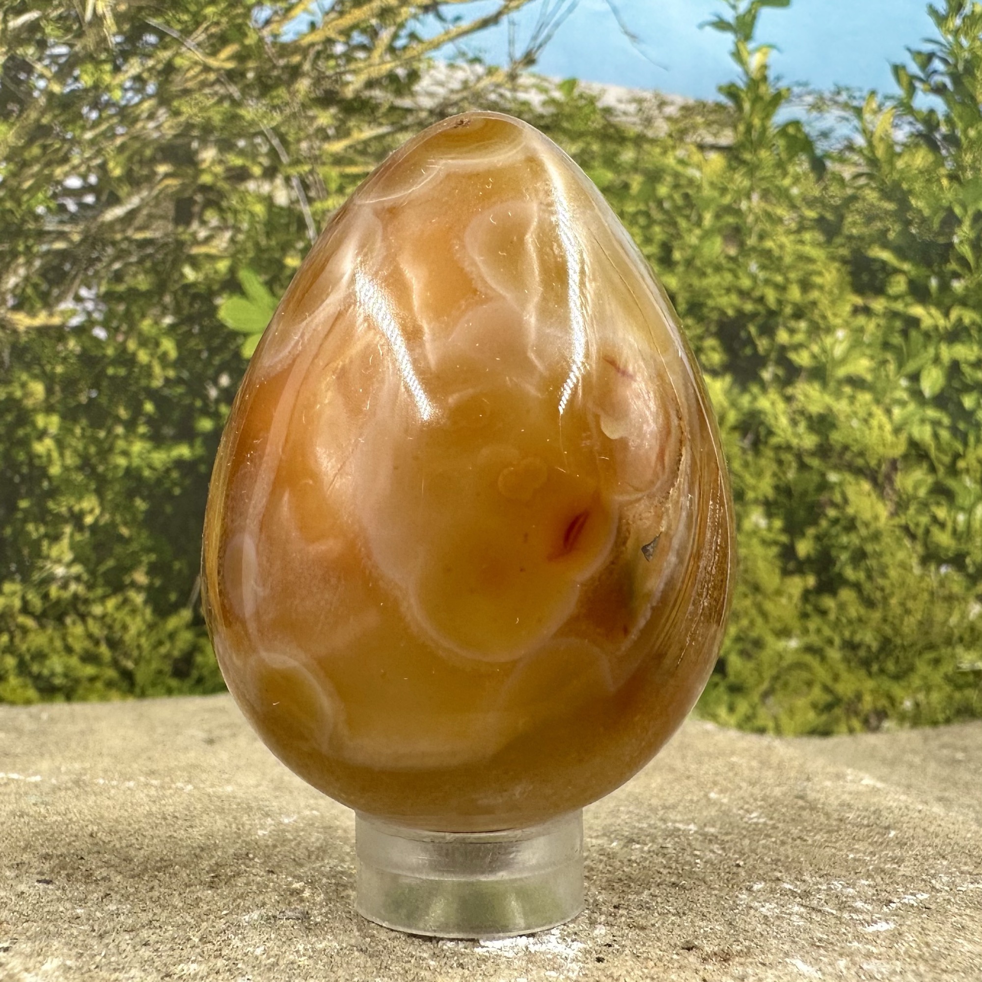 Carnelian Egg - Brimming with warm hues that evoke the fiery beauty of a desert sunset