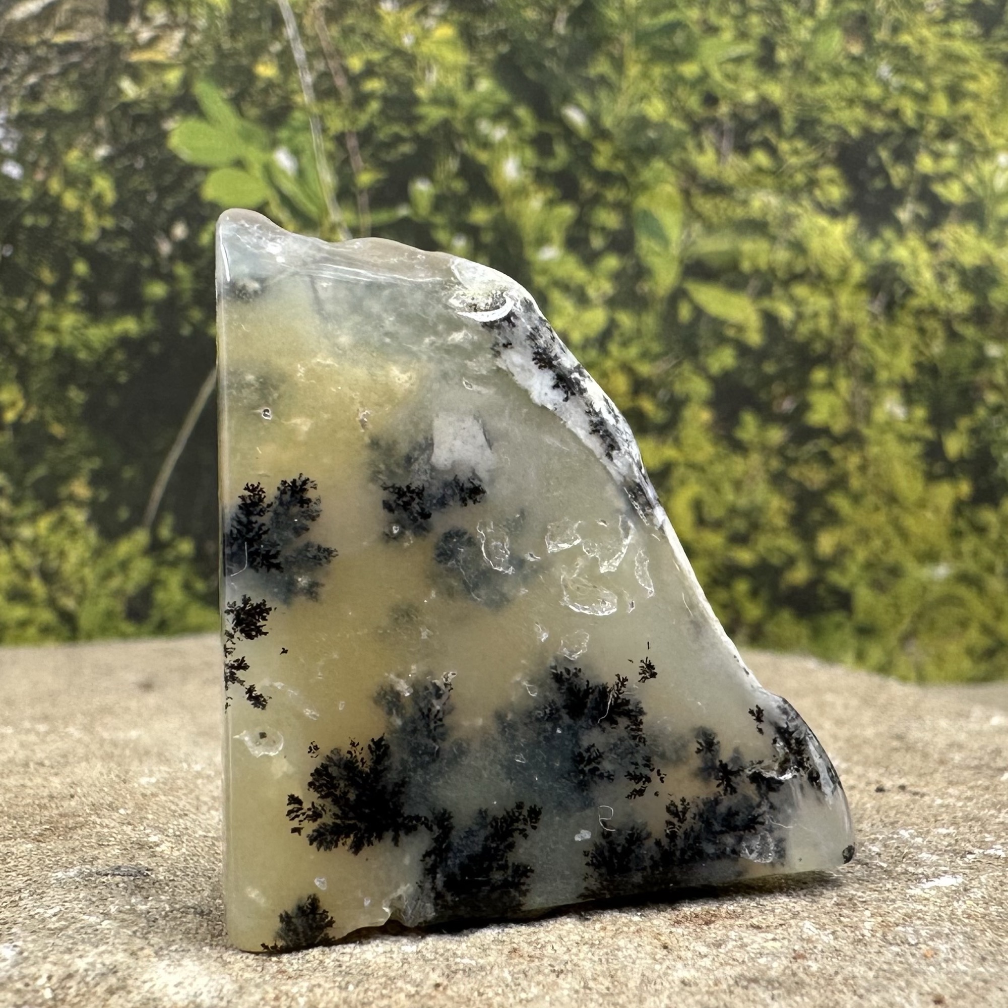 Merlinite Crystal Mineral Uruguay Natural Black White Stone Specimen 15-30mm