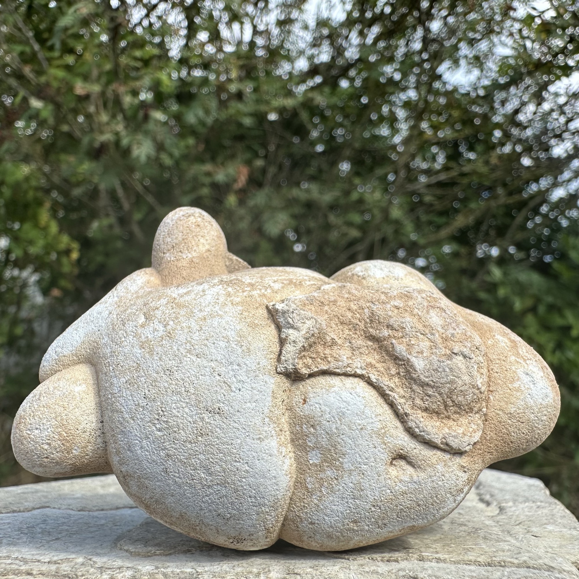 Menolite Mineral Specimen Natural Concretion Stone Collectors Display Piece 40-95mm