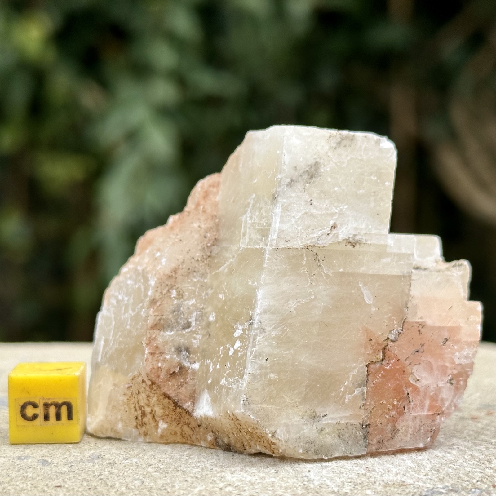 British multi-coloured calcite crystals from torbay, devon, uk - beautiful and unique colors