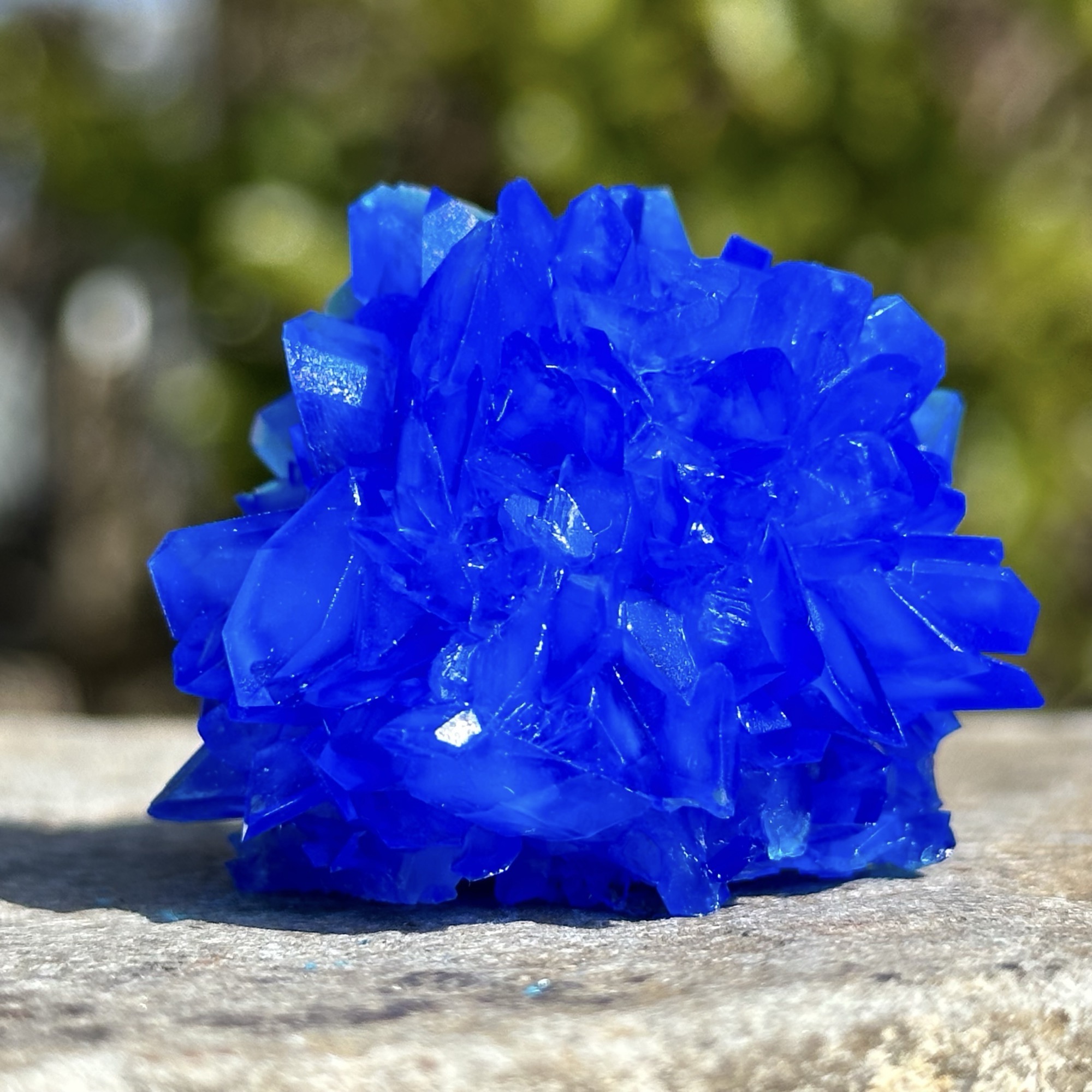 Chalcanthite Crystal - Rare Blue Mineral - Poland - Genuine Specimen + COA