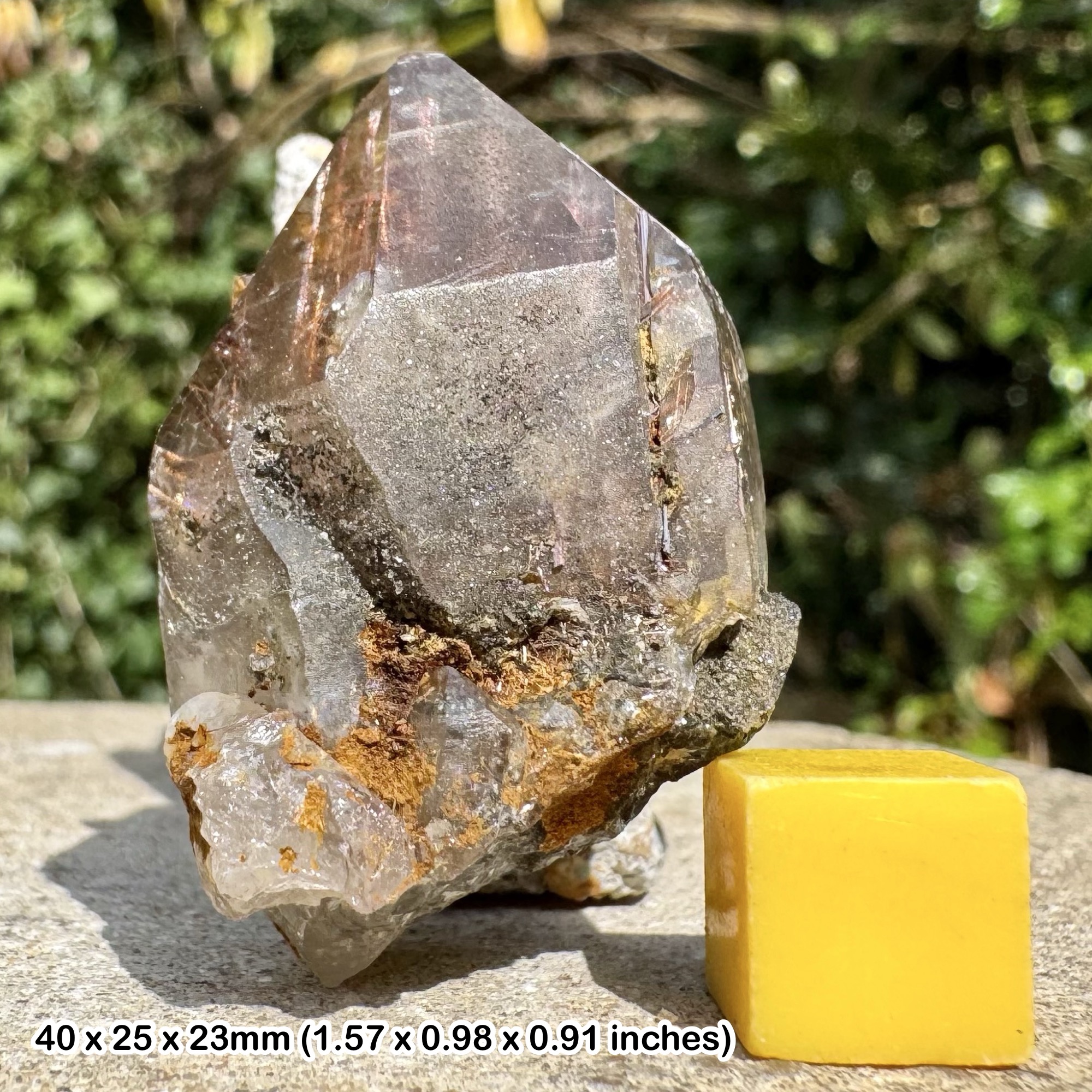 RARE: Rutile with Siderite | Skardu Pakistan Specimen | Titanium Dioxide Crystal Cluster | Genuine Mineral w/ COA