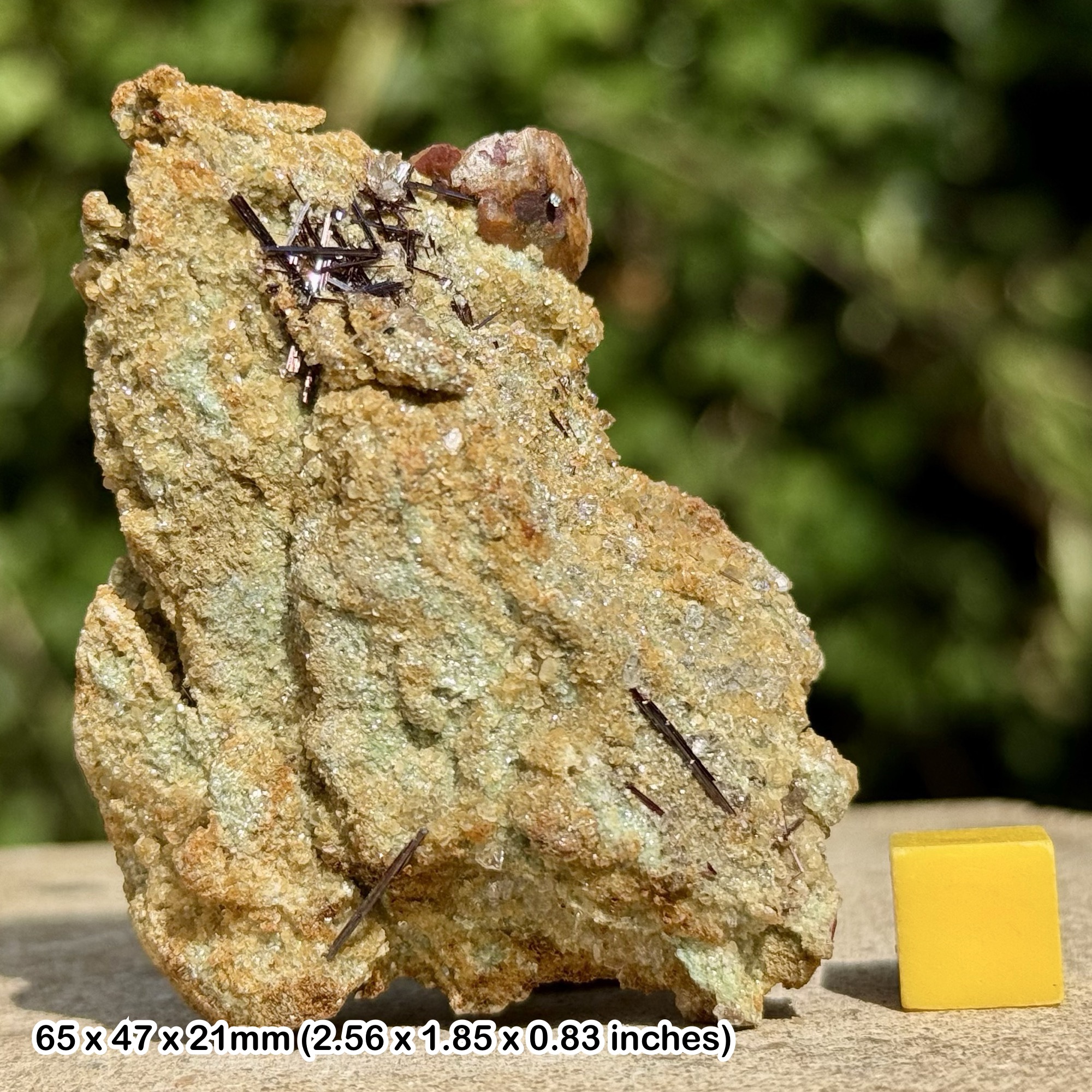 RARE: Rutile with Siderite | Skardu Pakistan Specimen | Titanium Dioxide Crystal Cluster | Genuine Mineral w/ COA