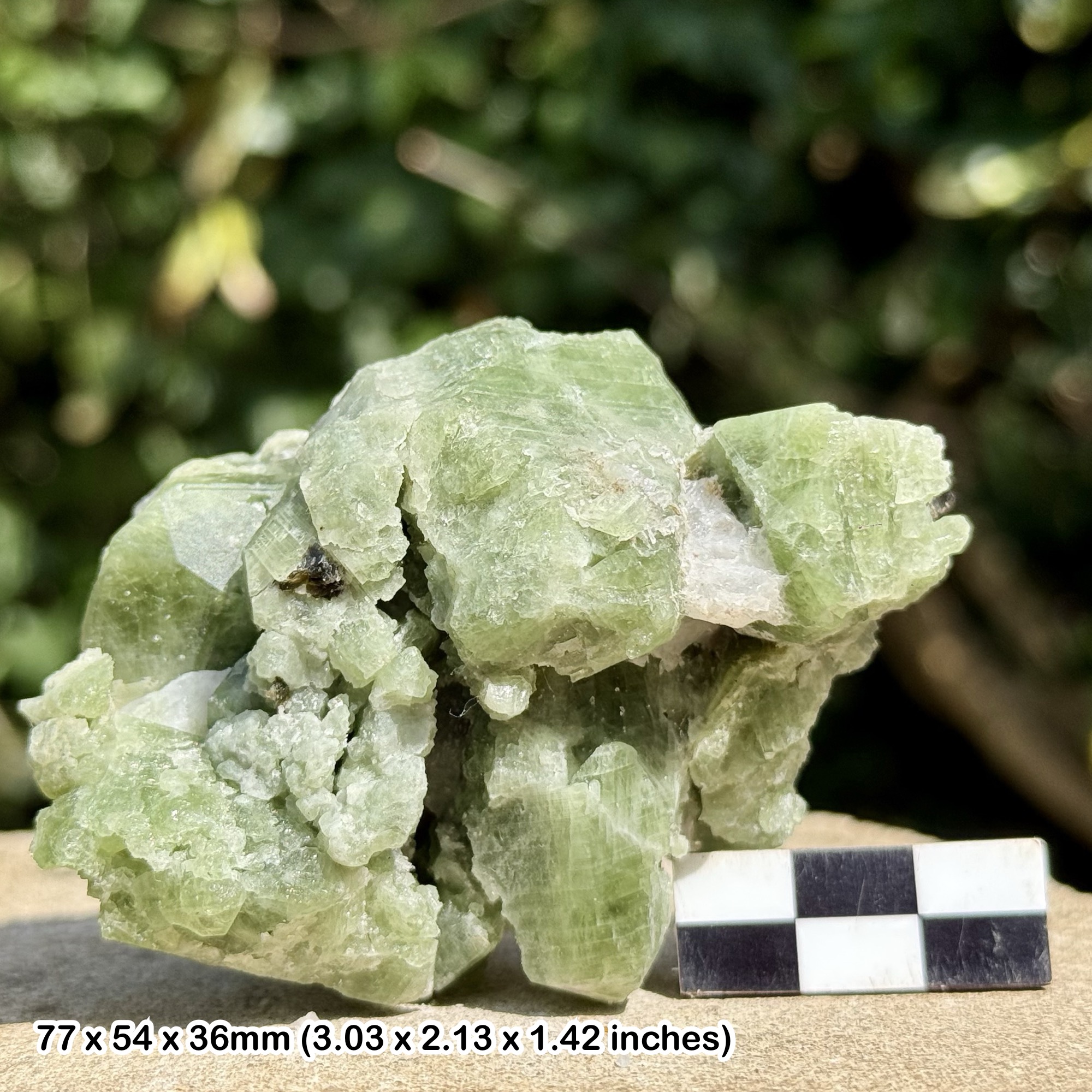 Rare Diopside Crystal with Brown Mica Badakhshan Afghanistan Natural Green Diopside Mineral Specimen