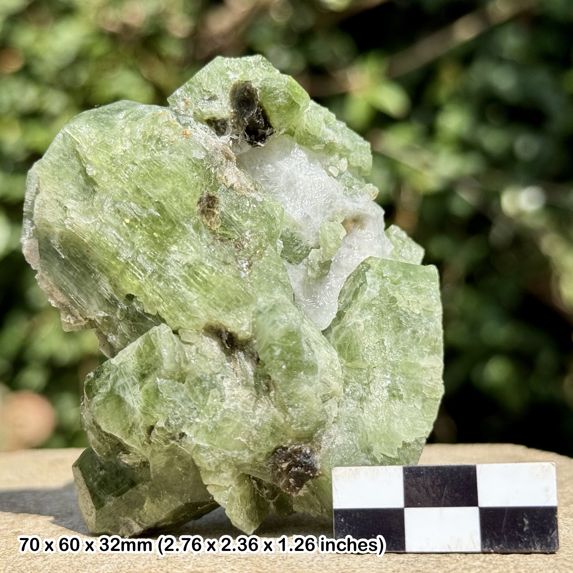 Rare Diopside Crystal with Brown Mica Badakhshan Afghanistan Natural Green Diopside Mineral Specimen