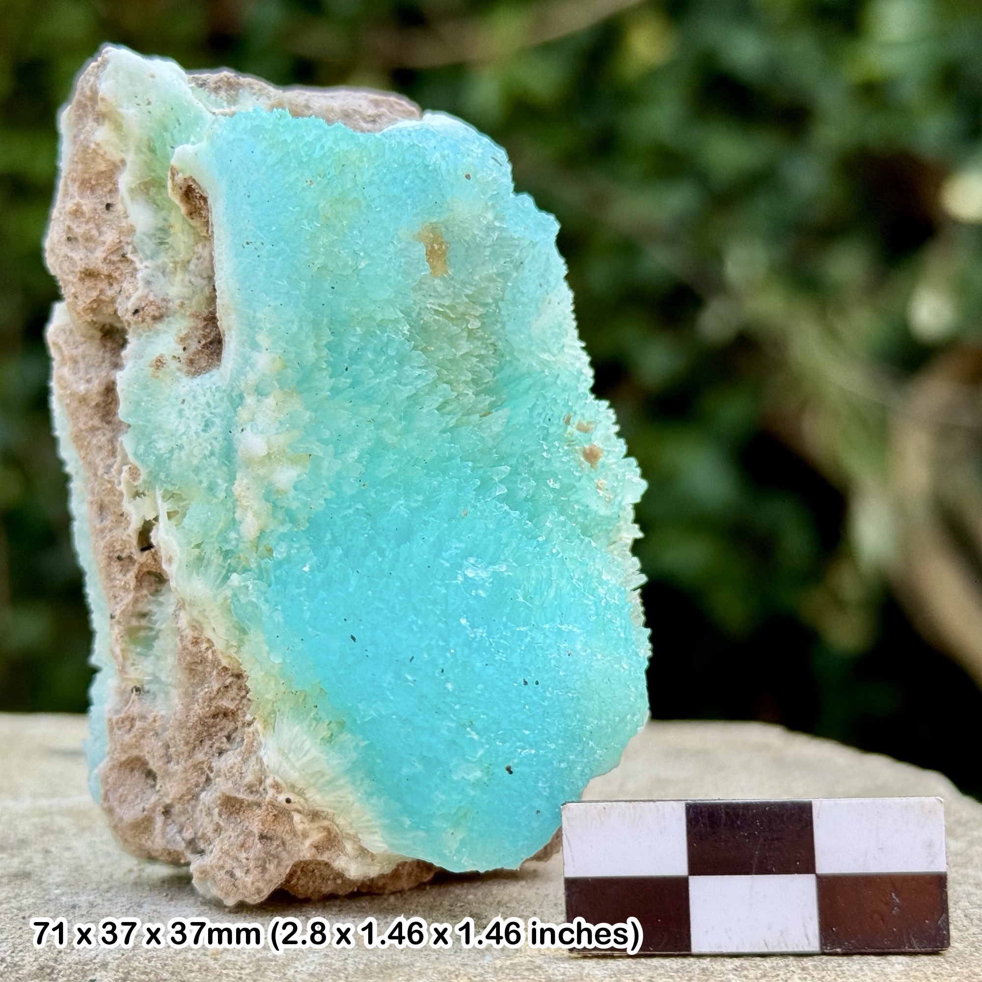 Rare Green Blue Aragonite Crystal Badakhshan Afghanistan Natural Calcium Carbonate Mineral Specimen