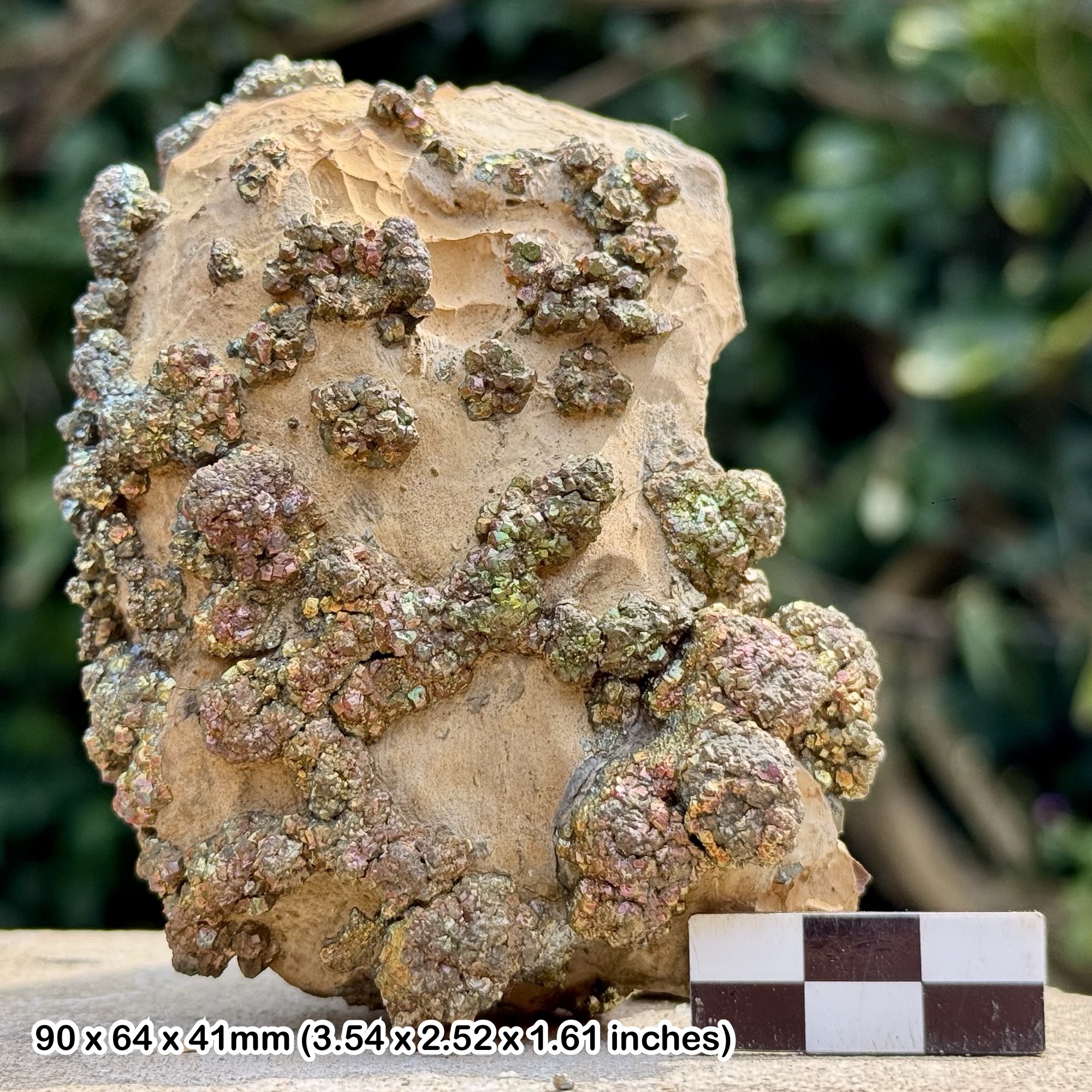 Rare Rainbow Pyrite Supat Mine Pakistan Iridescent Iron Pyrite Crystal Specimen Mineral Display Piece with Certificate of Authenticity