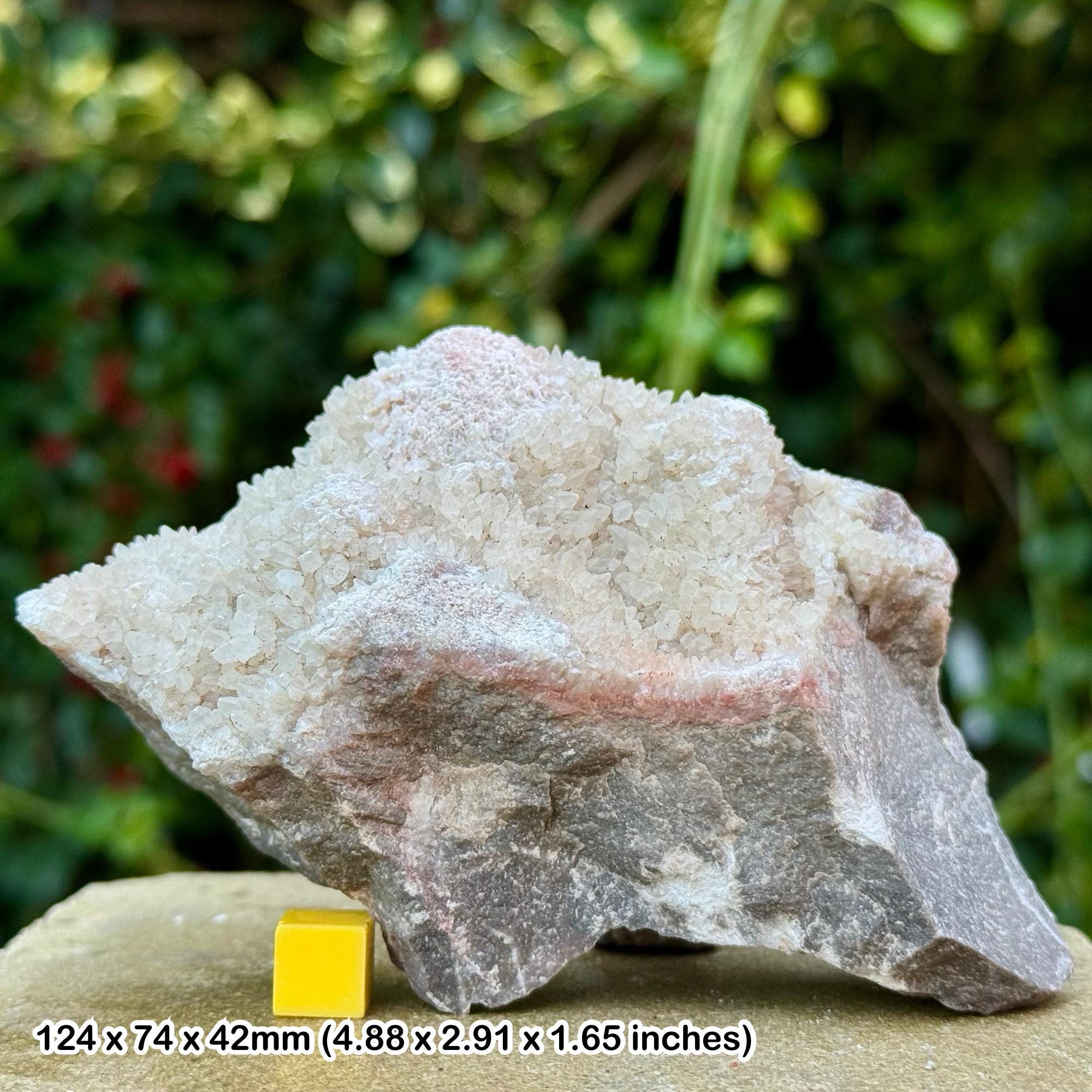 Dogtooth Calcite Crystals Dulcote Quarry Shepton Mallet Somerset UK Specimen