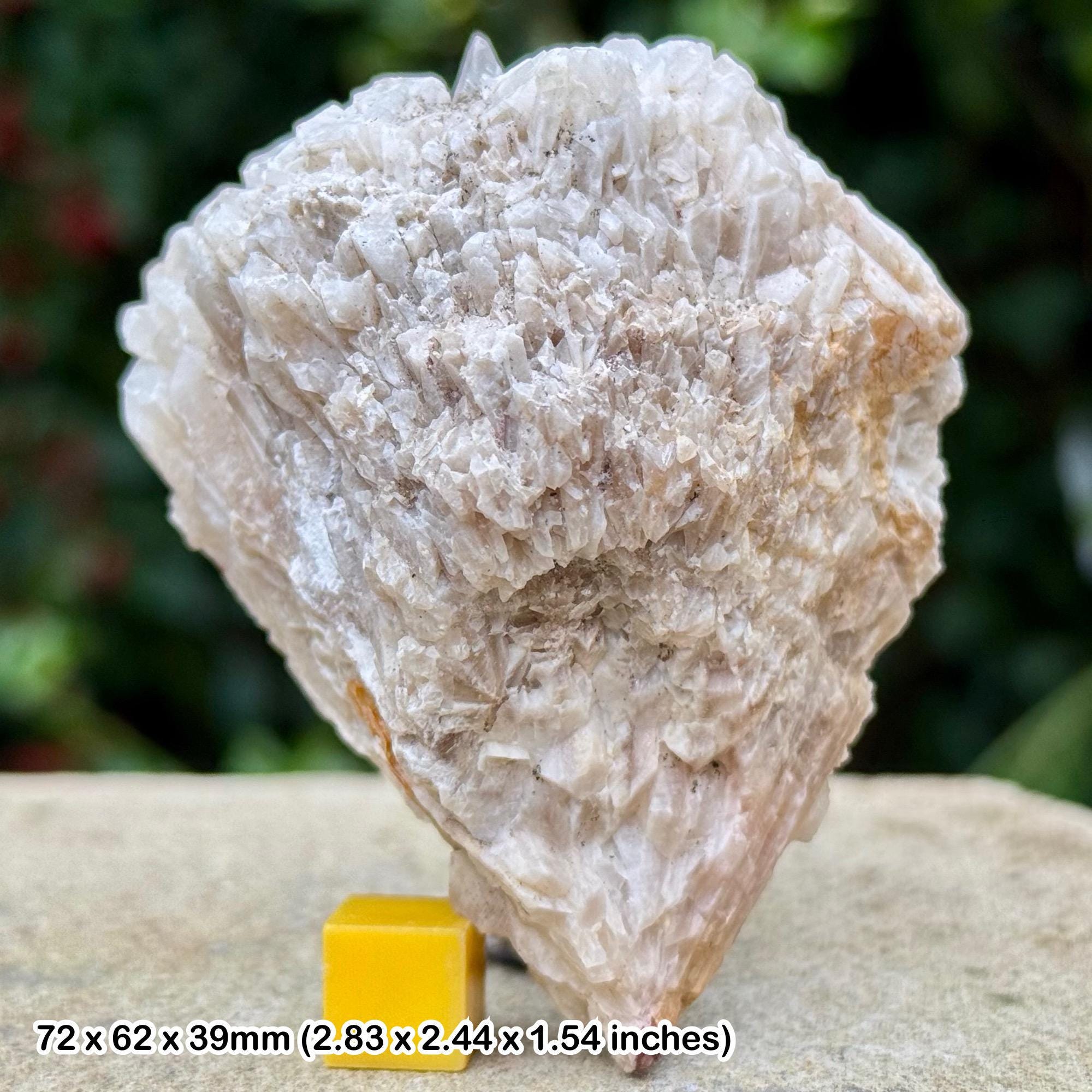 Dogtooth Calcite Crystals Dulcote Quarry Shepton Mallet Genuine Mineral Specimen with Certificate of Authenticity