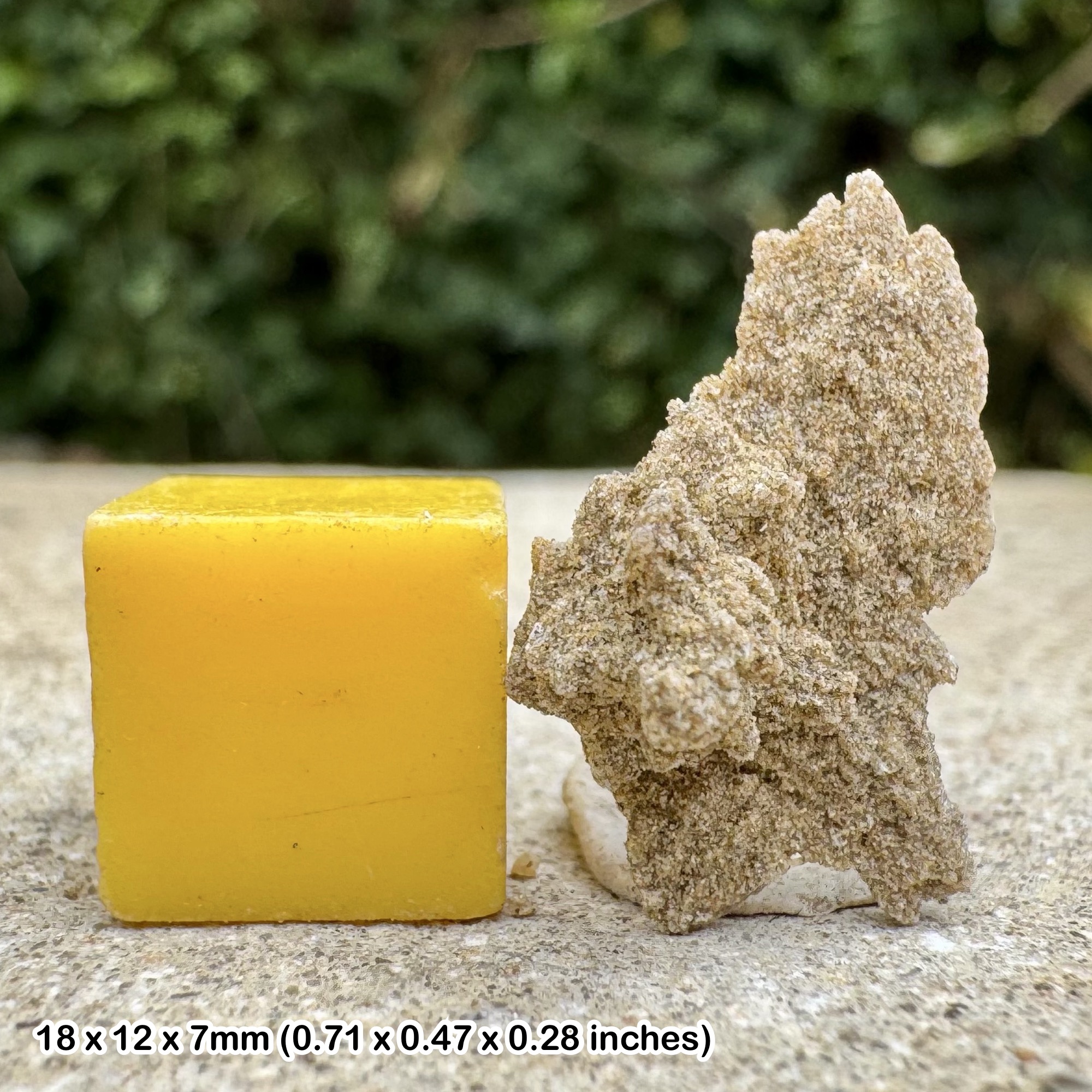 RARE UK Sand Rose Crystal | Herne Bay Desert Rose | British Gypsum Rosette | With Certificate | Actual Specimen