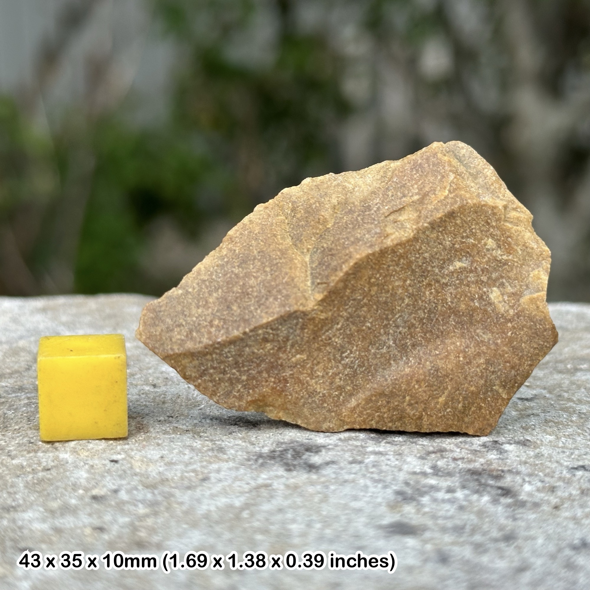 Chert, Portland, UK (TEACHING CLASS ROCK) GCSE GEOLOGY