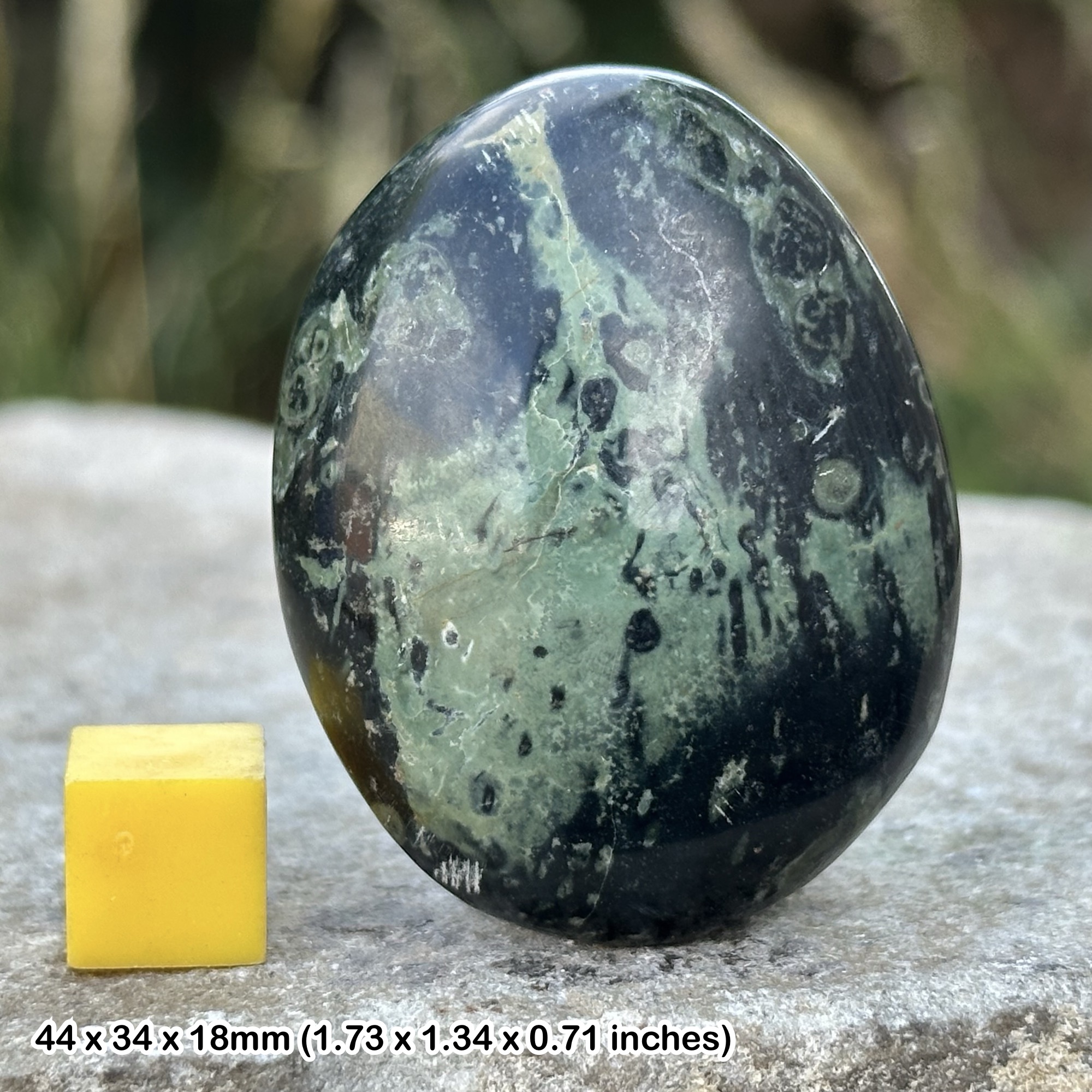 Kambaba Jasper Pebble Madagascar Polished Stromatolite Fossil Stone Natural Green
