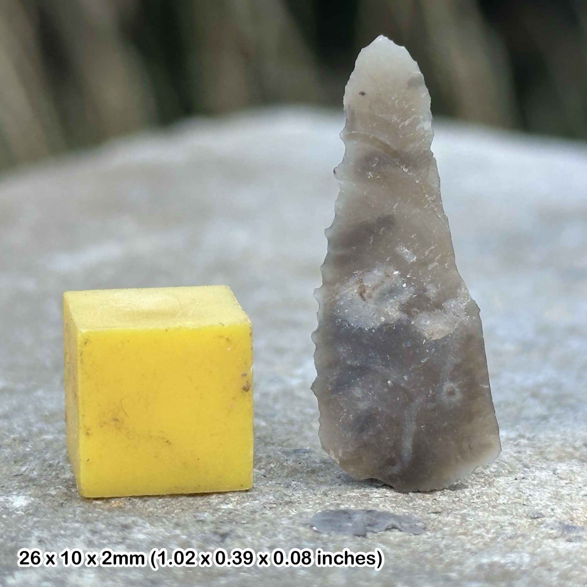 RARE Sickle/Saw Microlithic Tool (Neolithic), Cornwall Archeological Find, UK - Genuine Artefact with Certificate of Authenticity