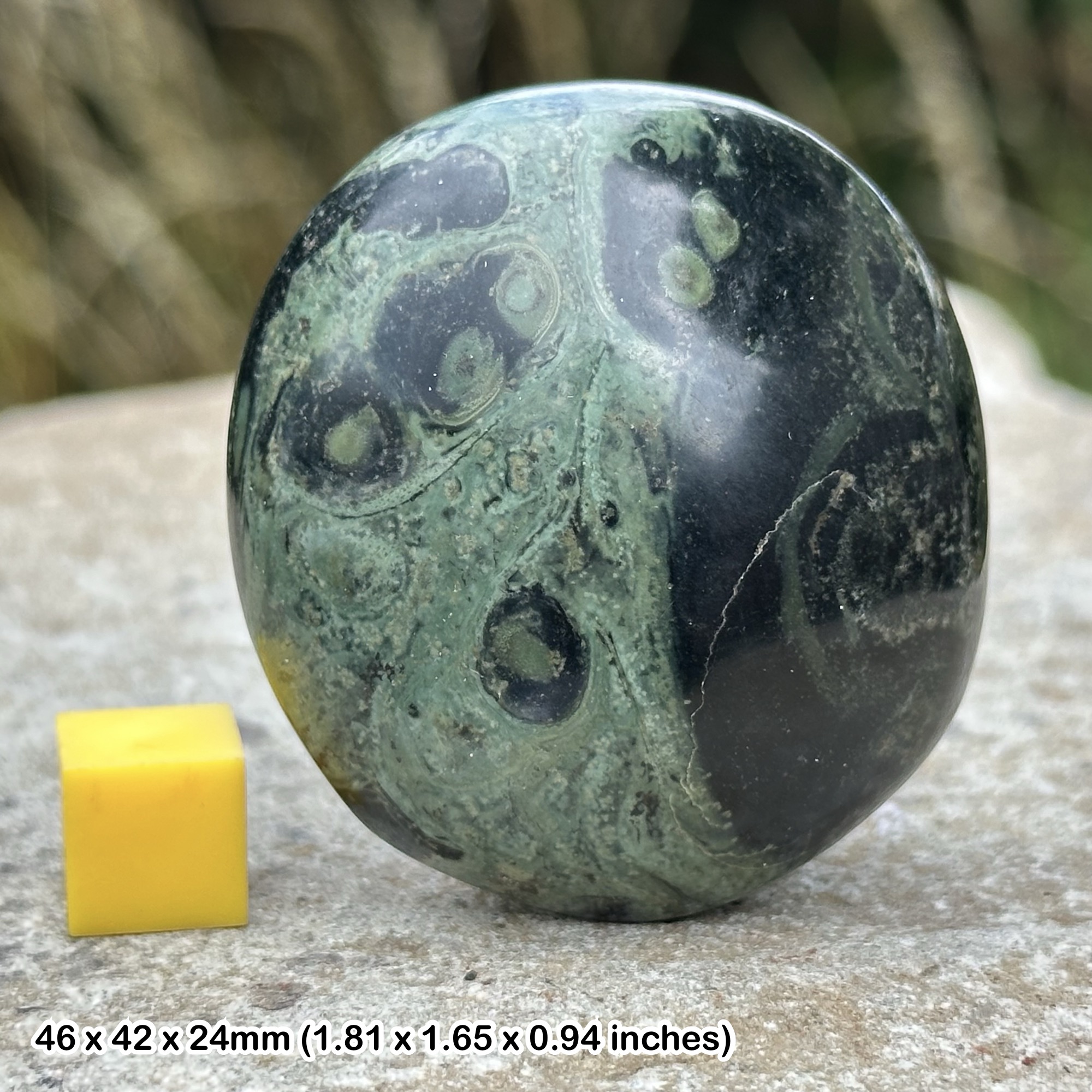 Kambaba Jasper Pebble Madagascar Polished Stromatolite Stone Natural Green Fossil