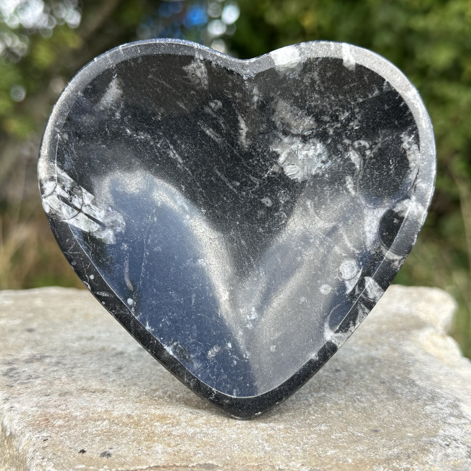 Small Fossil Heart Marble Dish with Goniatite - Genuine Fossil Specimen