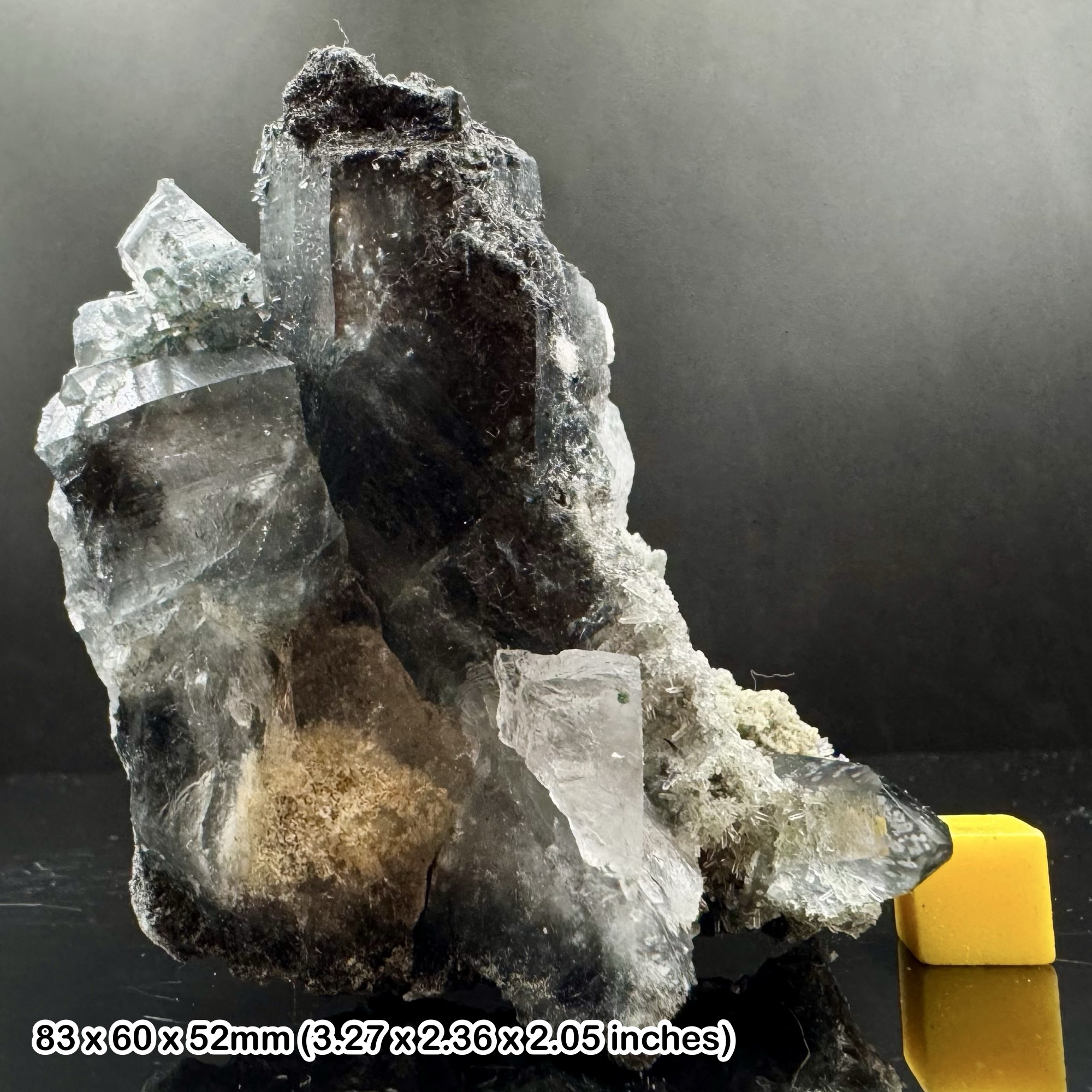 Rare Laser Quartz Crystal with Black Tourmaline Inclusions Natural Specimen from Skardu Pakistan with Certificate of Authenticity
