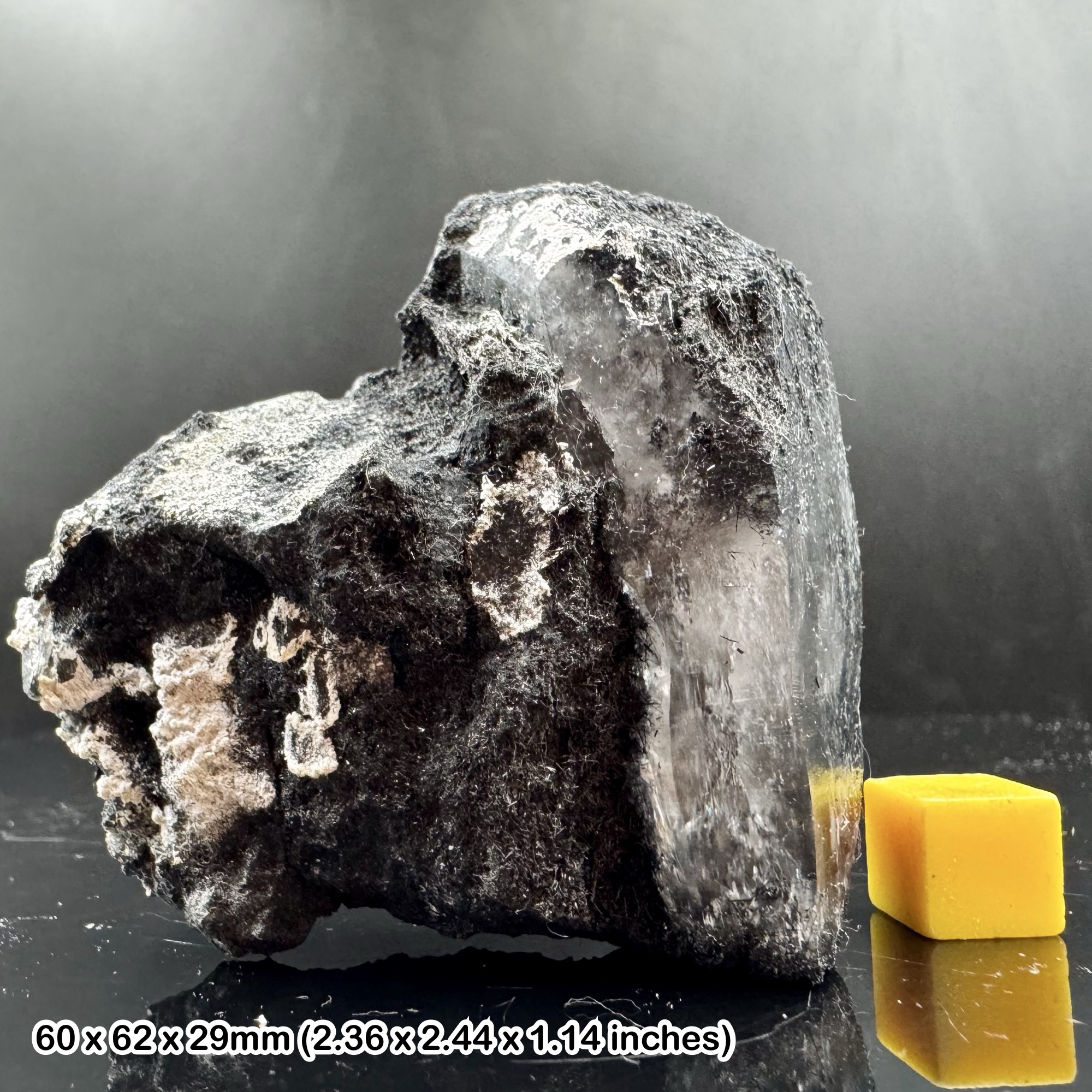 Rare Laser Quartz Crystal with Black Tourmaline Inclusions Natural Specimen from Skardu Pakistan with Certificate of Authenticity