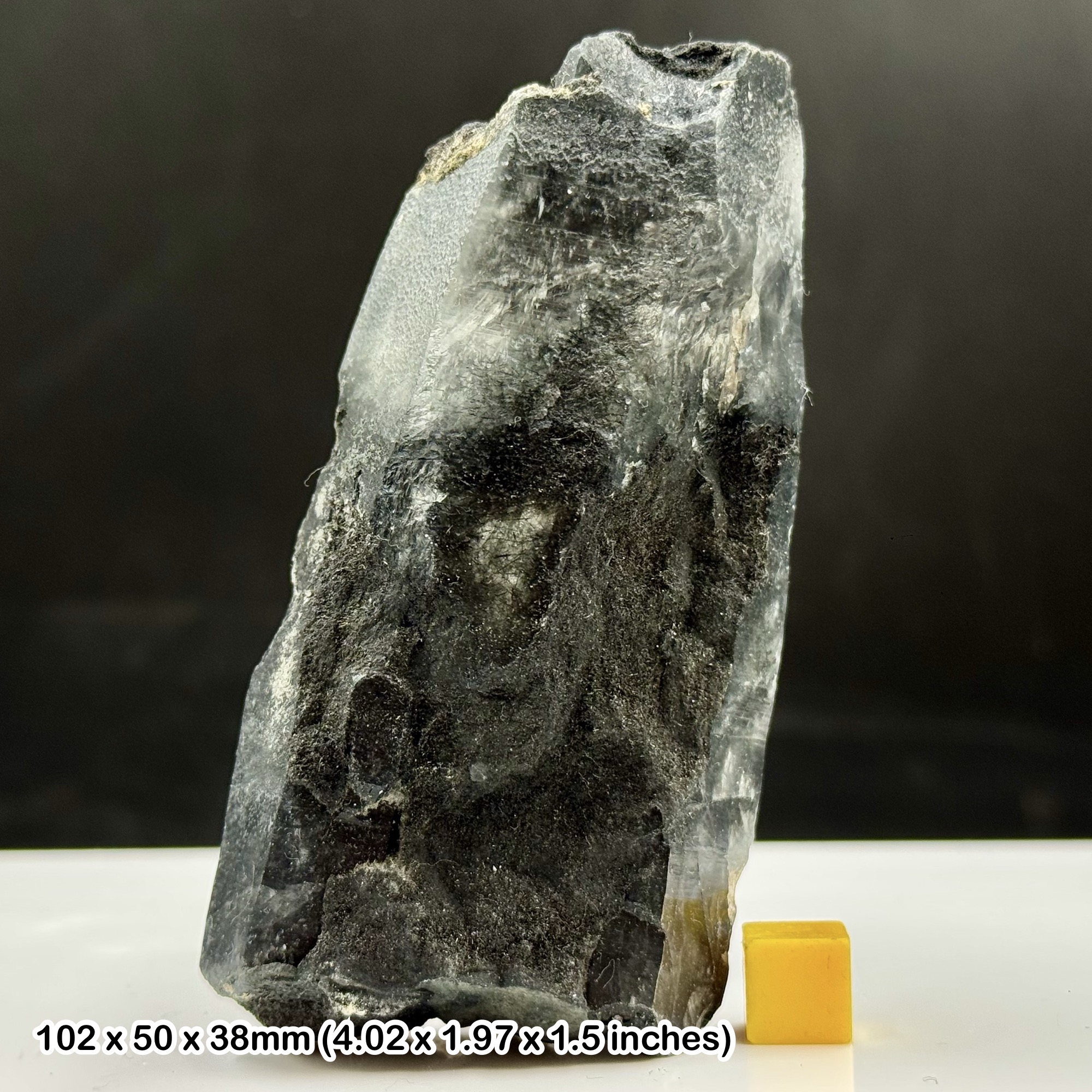 Rare Laser Quartz Crystal with Black Tourmaline Inclusions Natural Specimen from Skardu Pakistan with Certificate of Authenticity