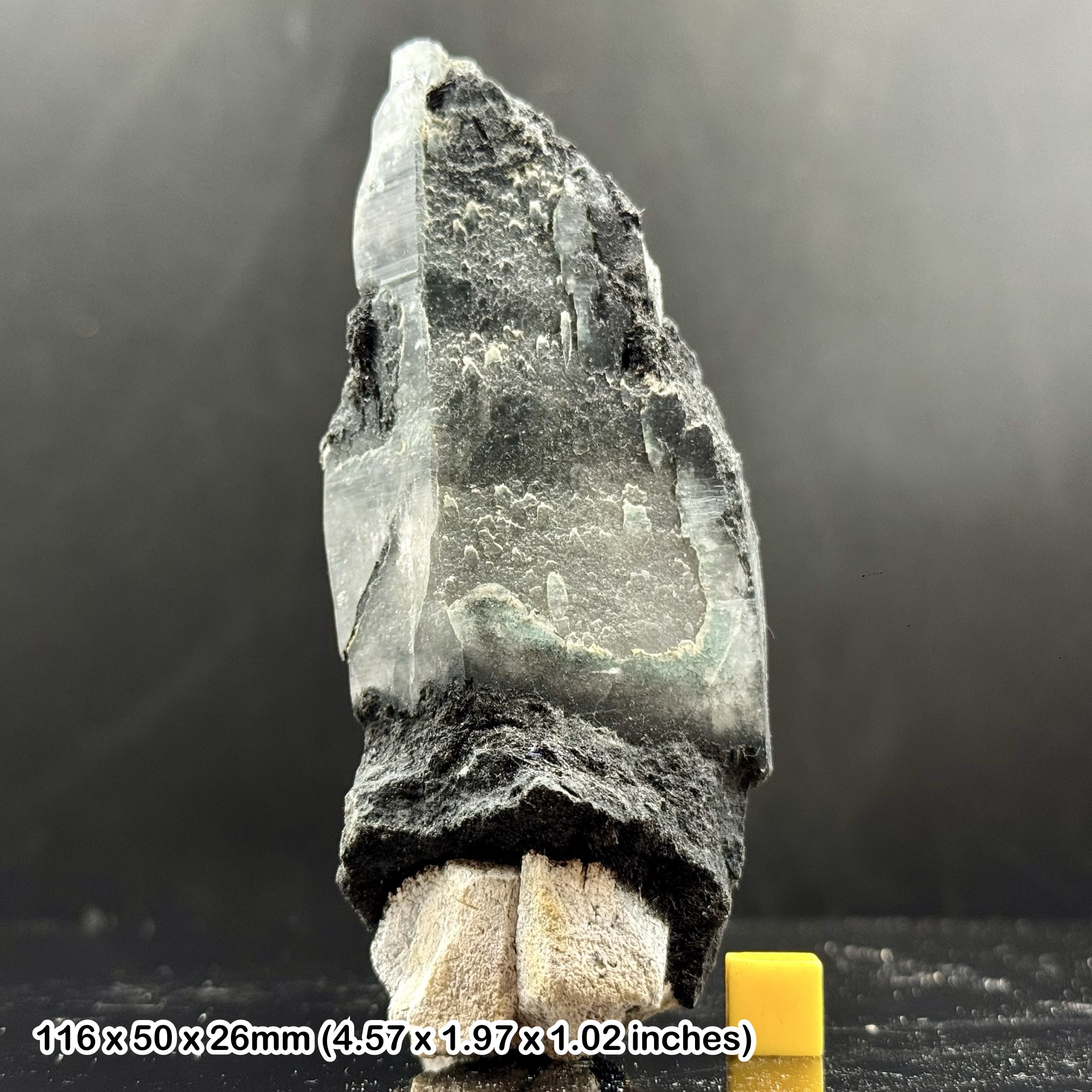 Rare Laser Quartz Crystal with Black Tourmaline Inclusions Natural Specimen from Skardu Pakistan with Certificate of Authenticity