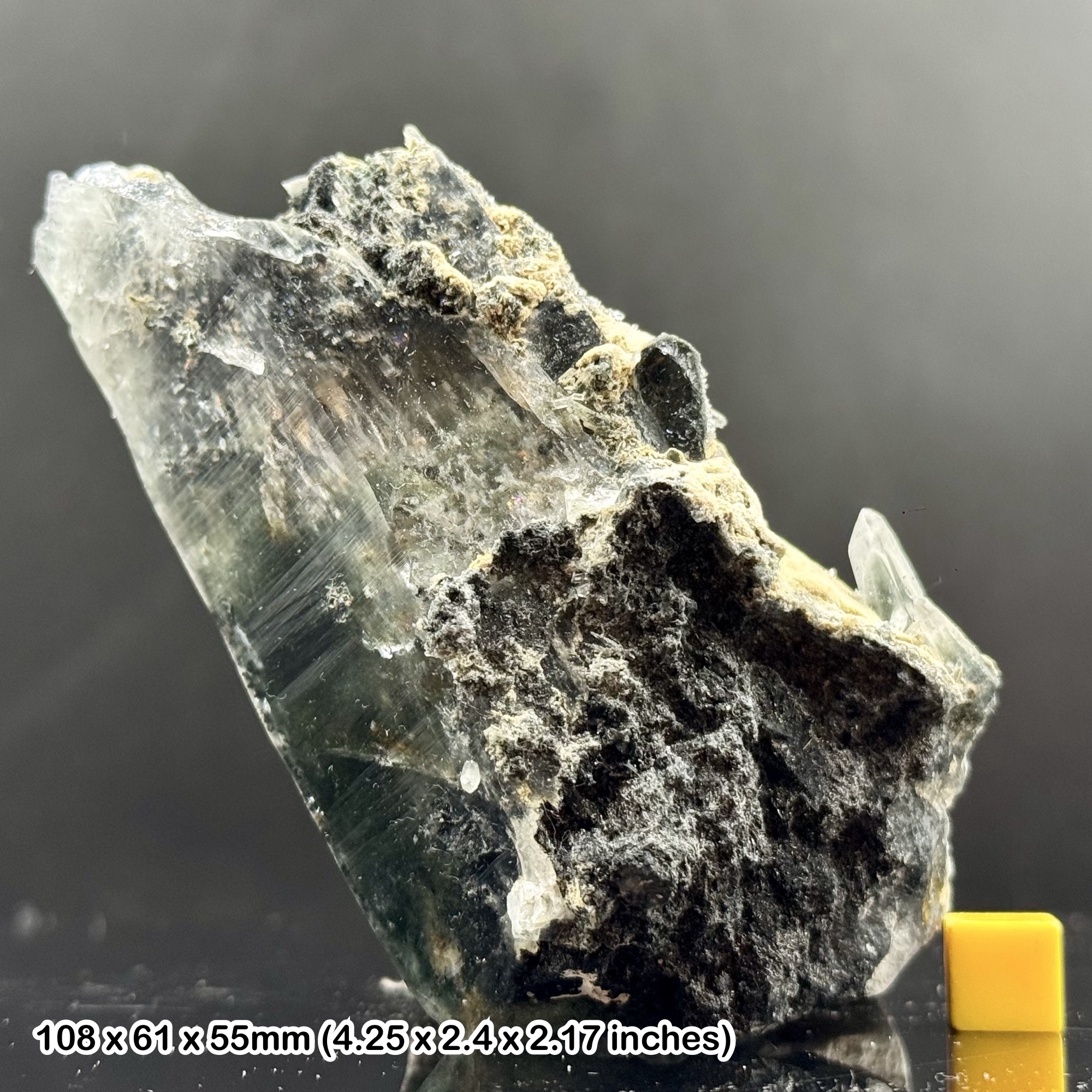 Rare Laser Quartz Crystal with Black Tourmaline Inclusions Natural Specimen from Skardu Pakistan with Certificate of Authenticity