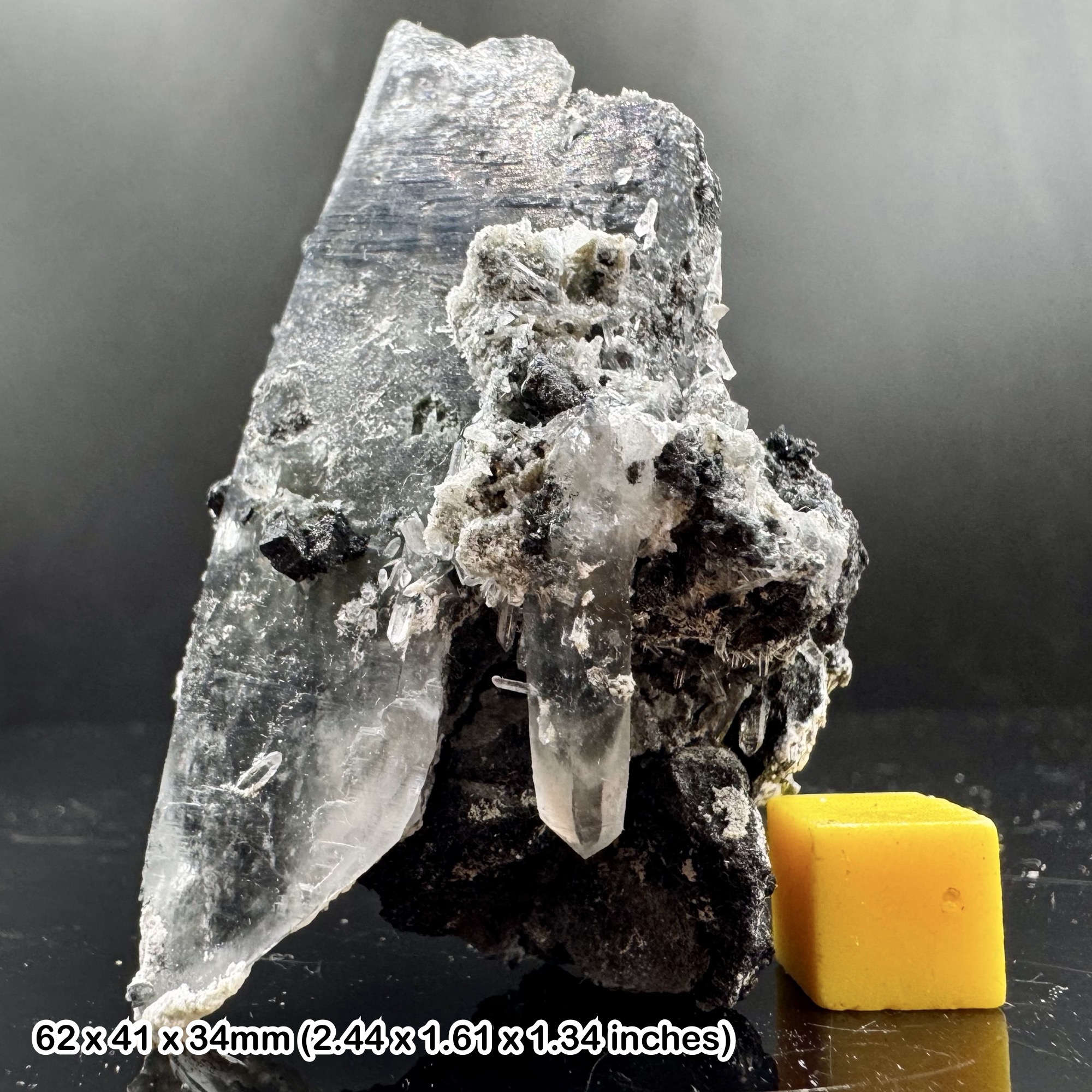 Rare Laser Quartz Crystal with Black Tourmaline Inclusions Natural Specimen from Skardu Pakistan with Certificate of Authenticity