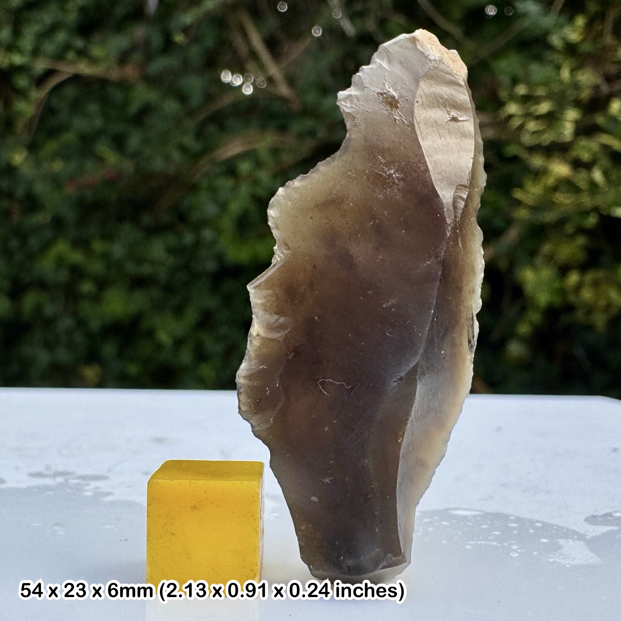 Rare Neolithic Scraper Artefact British Stone Age Tool Lithic from Lowestoft Suffolk – Genuine Prehistoric Flint Tool with COA
