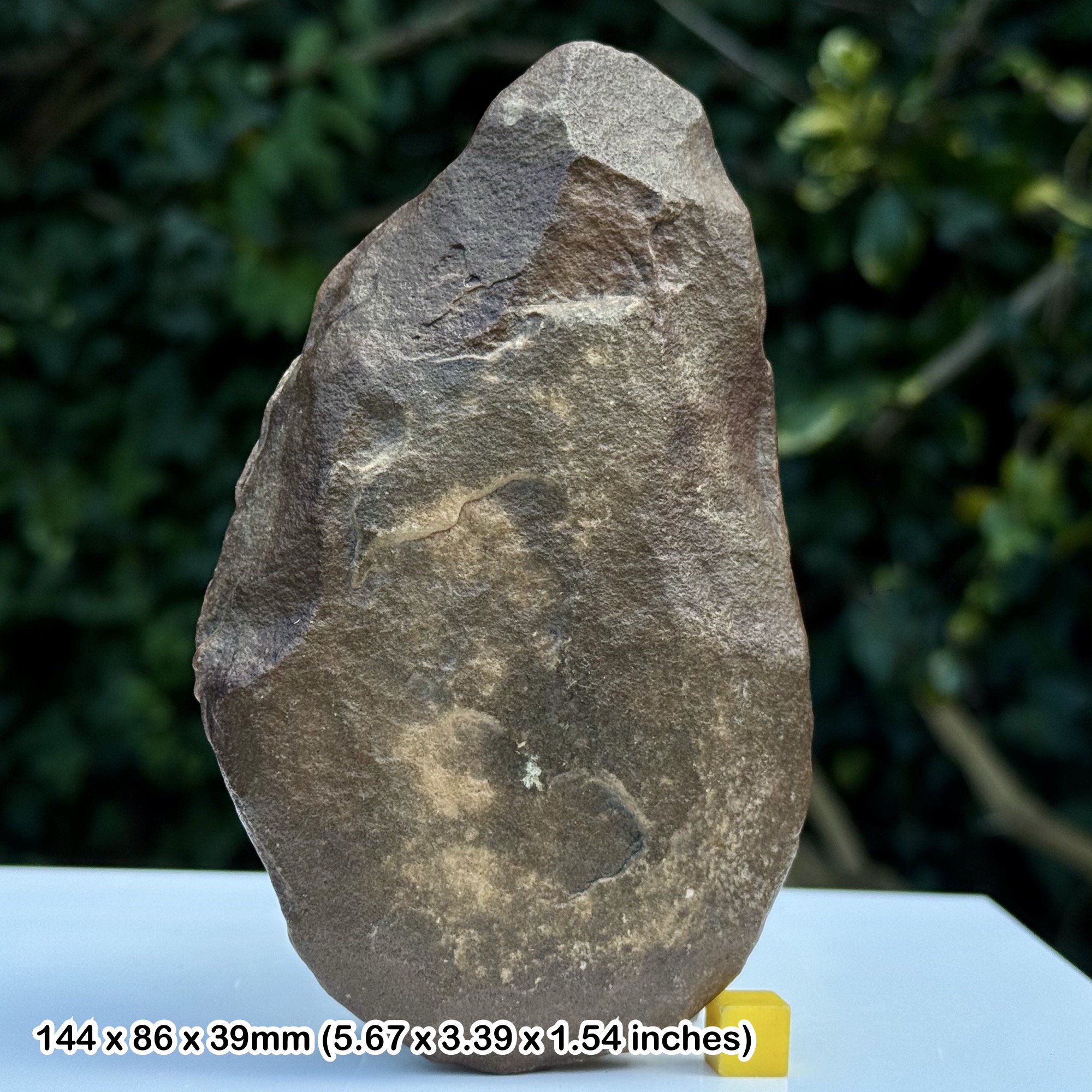 Rare Large Neolithic Stone Axe Head France – Authentic Prehistoric Stone Age Tool, Genuine Polished Artefact with COA
