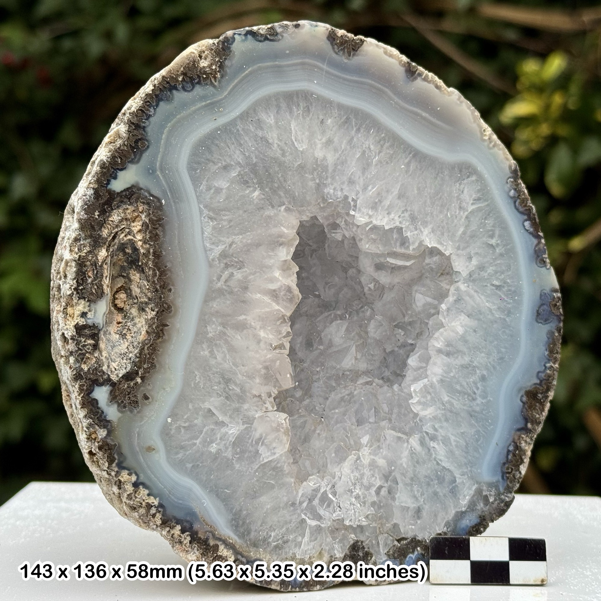 Rare Blue Lace Agate & Quartz A-Grade Geode Natural Banded Chalcedony Crystal Specimen