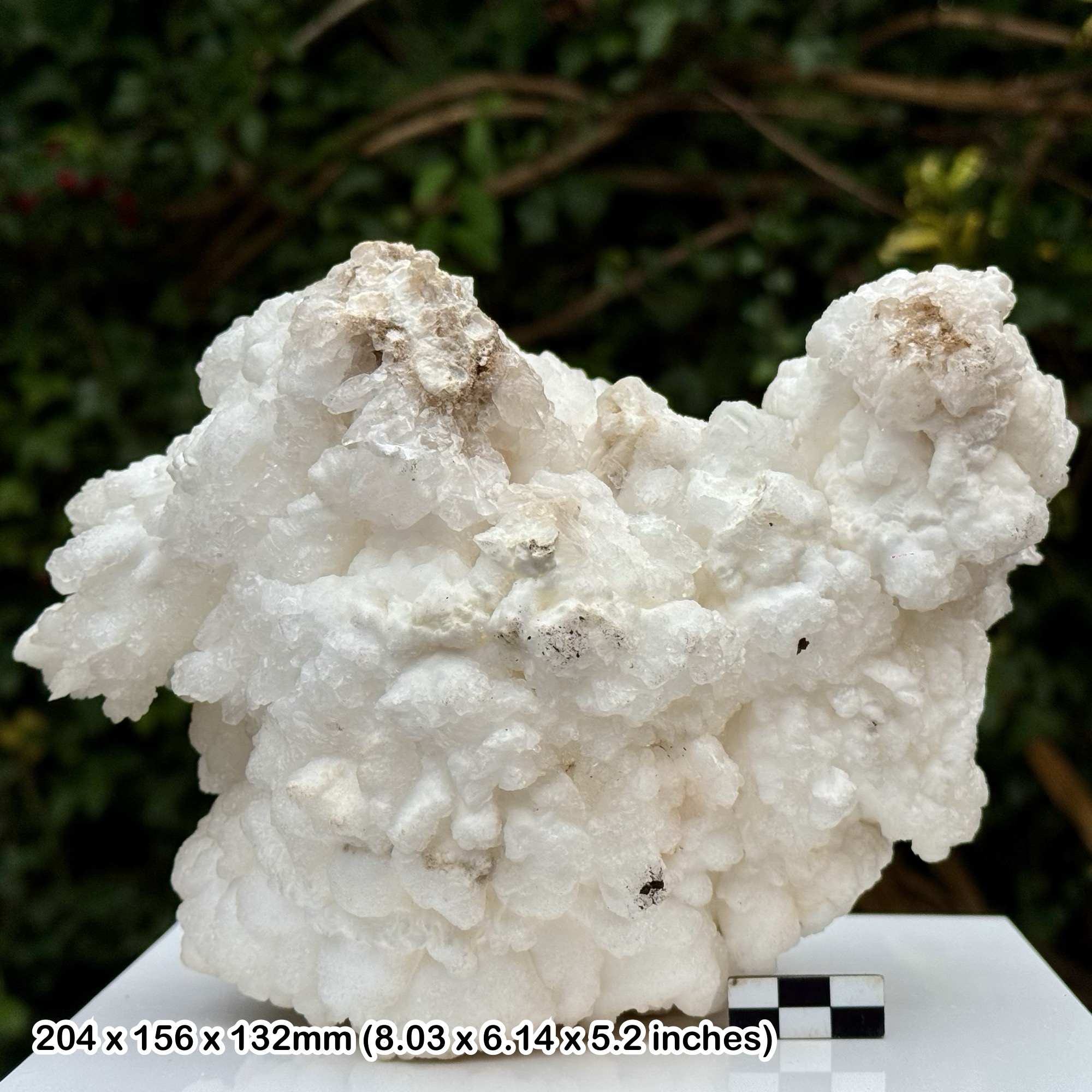 Huge 8" Quartz Botryoidal Crystal Display Piece Natural Chalcedony Formation