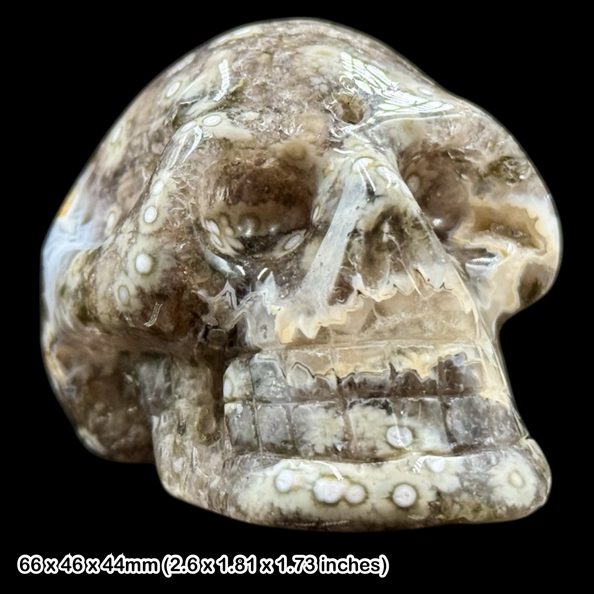 Fisheye Jasper Skull Carving Genuine Jasper Crystal Sculpture Natural Patterned Stone With Certificate of Authenticity