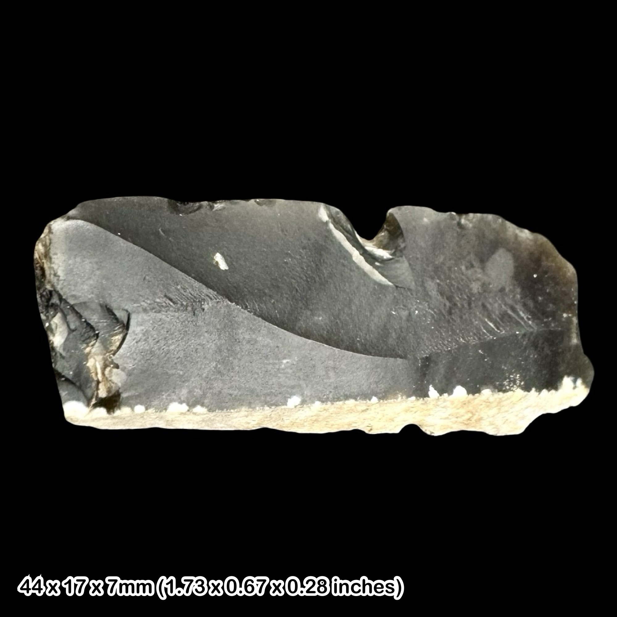 Rare Neolithic Scraper Artefact British Stone Age Flint Tool Lithic Norfolk With Certificate of Authenticity