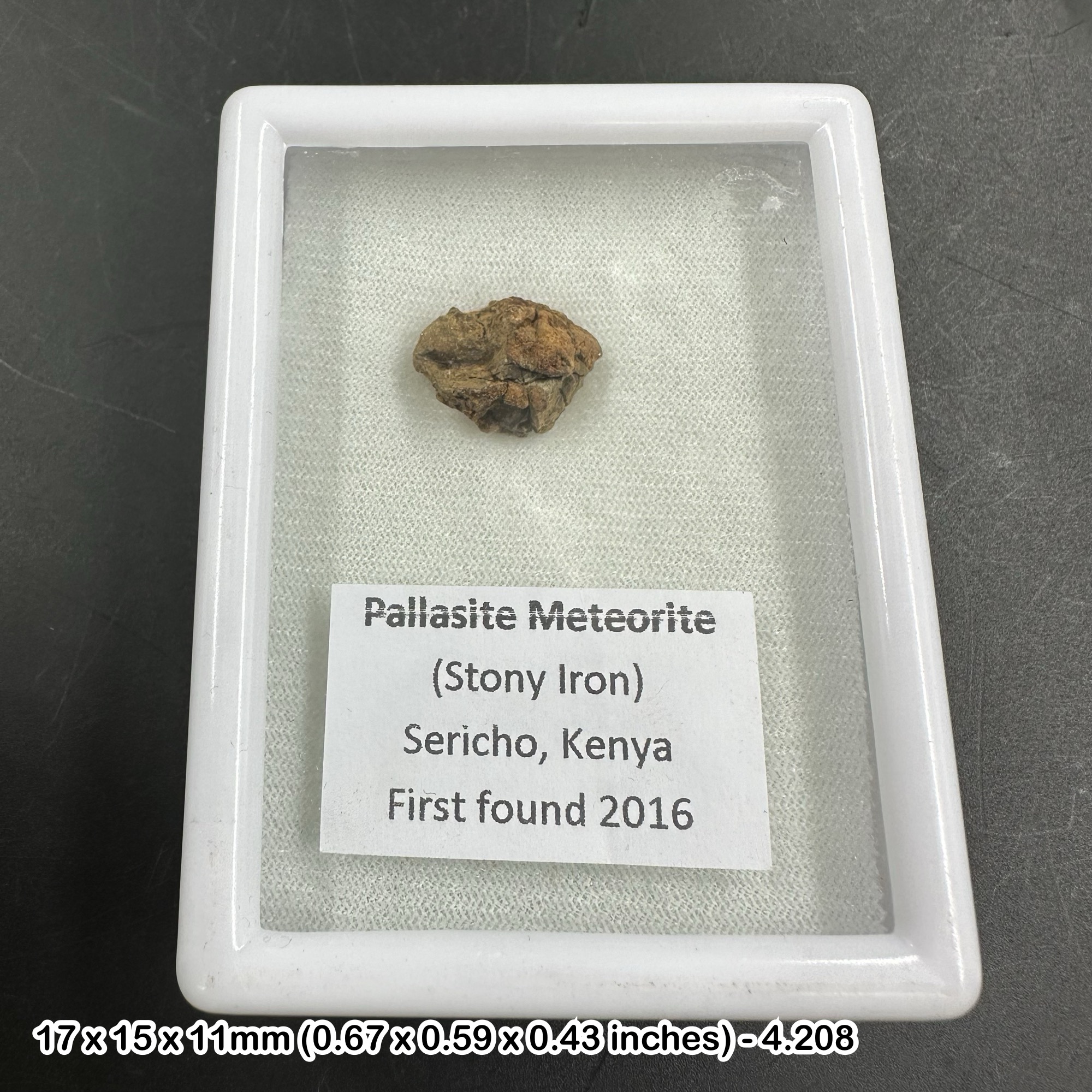 Sericho Pallasite Space Rock Meteorite - A genuine celestial treasure