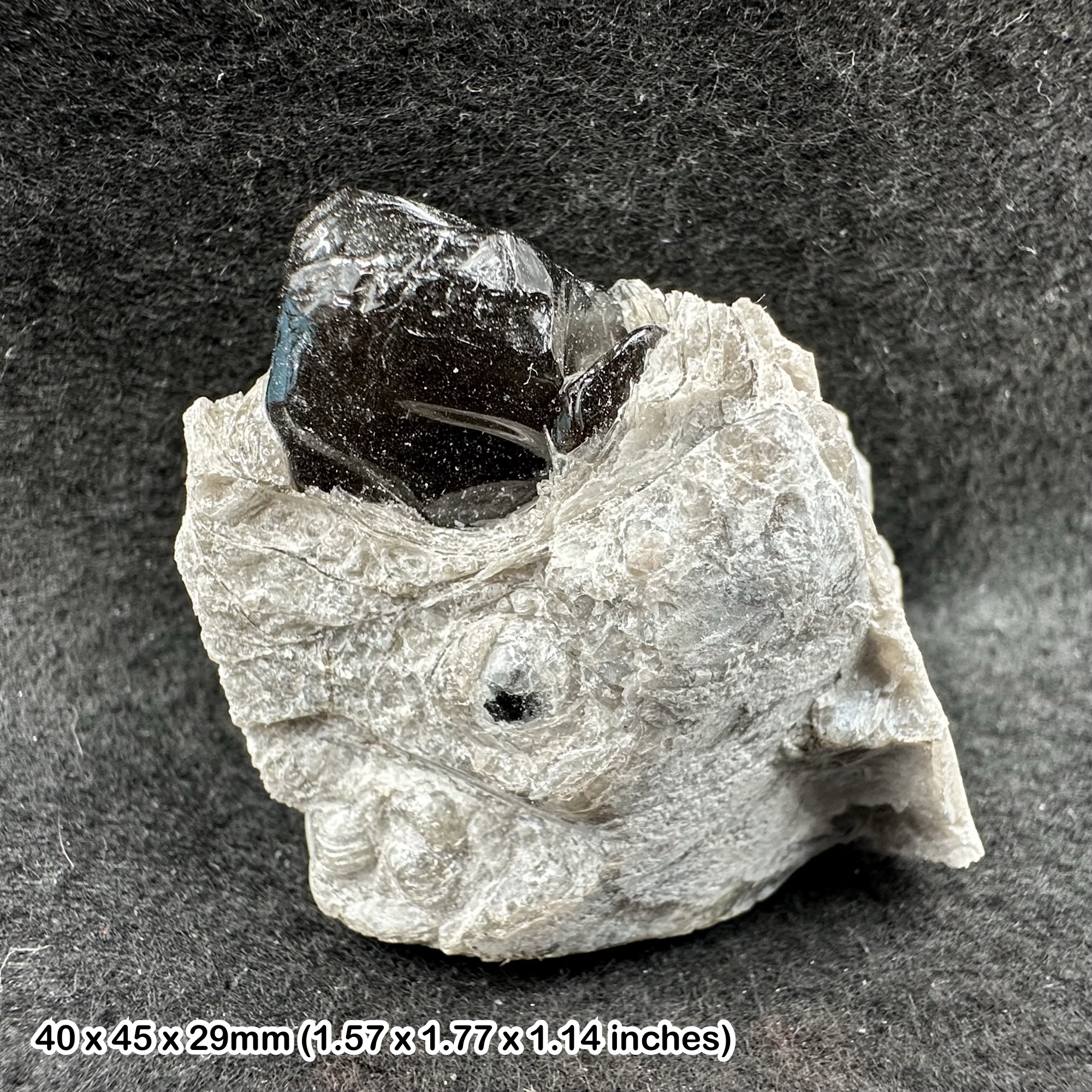 Apache Tear Obsidian in Perlite Natural Volcanic Glass Specimen Arizona USA Mineral Pinal County Geological Collectors Stone