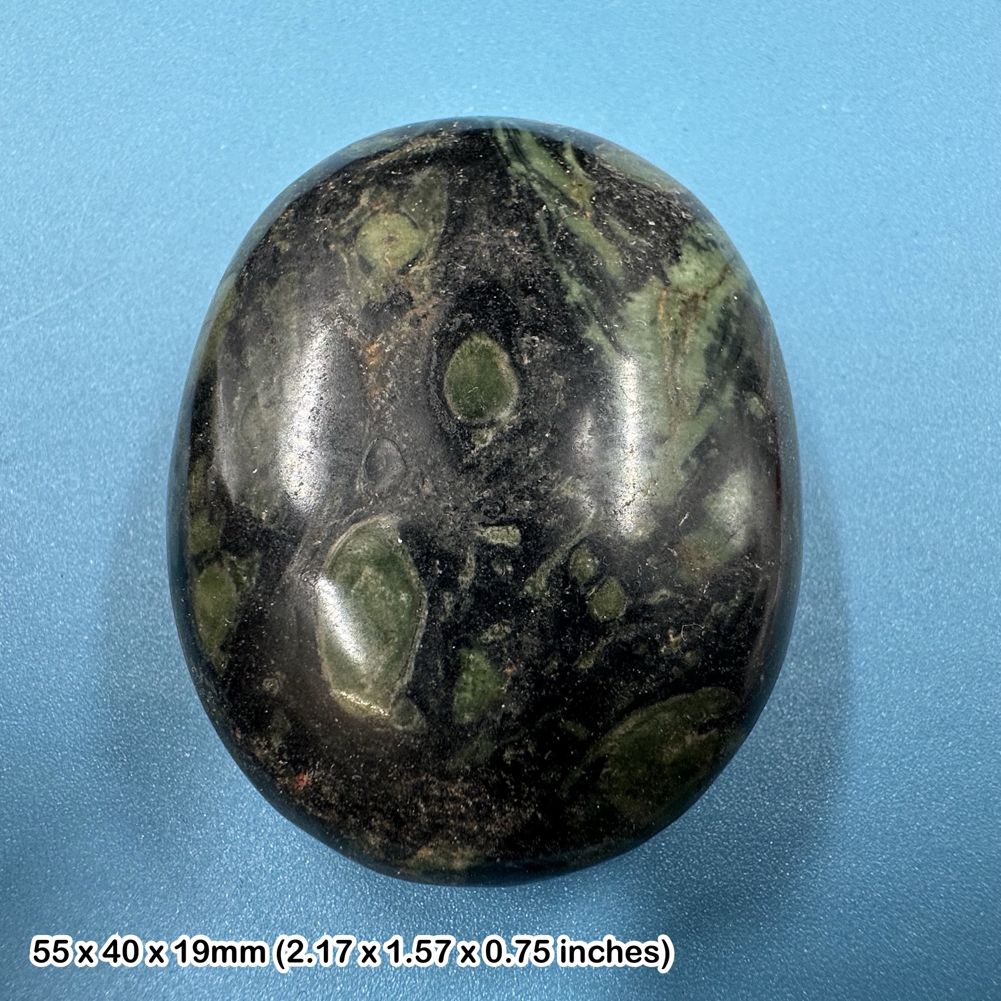 Kambaba Jasper Pebble Madagascar Polished Stromatolite Fossil Stone Natural Green