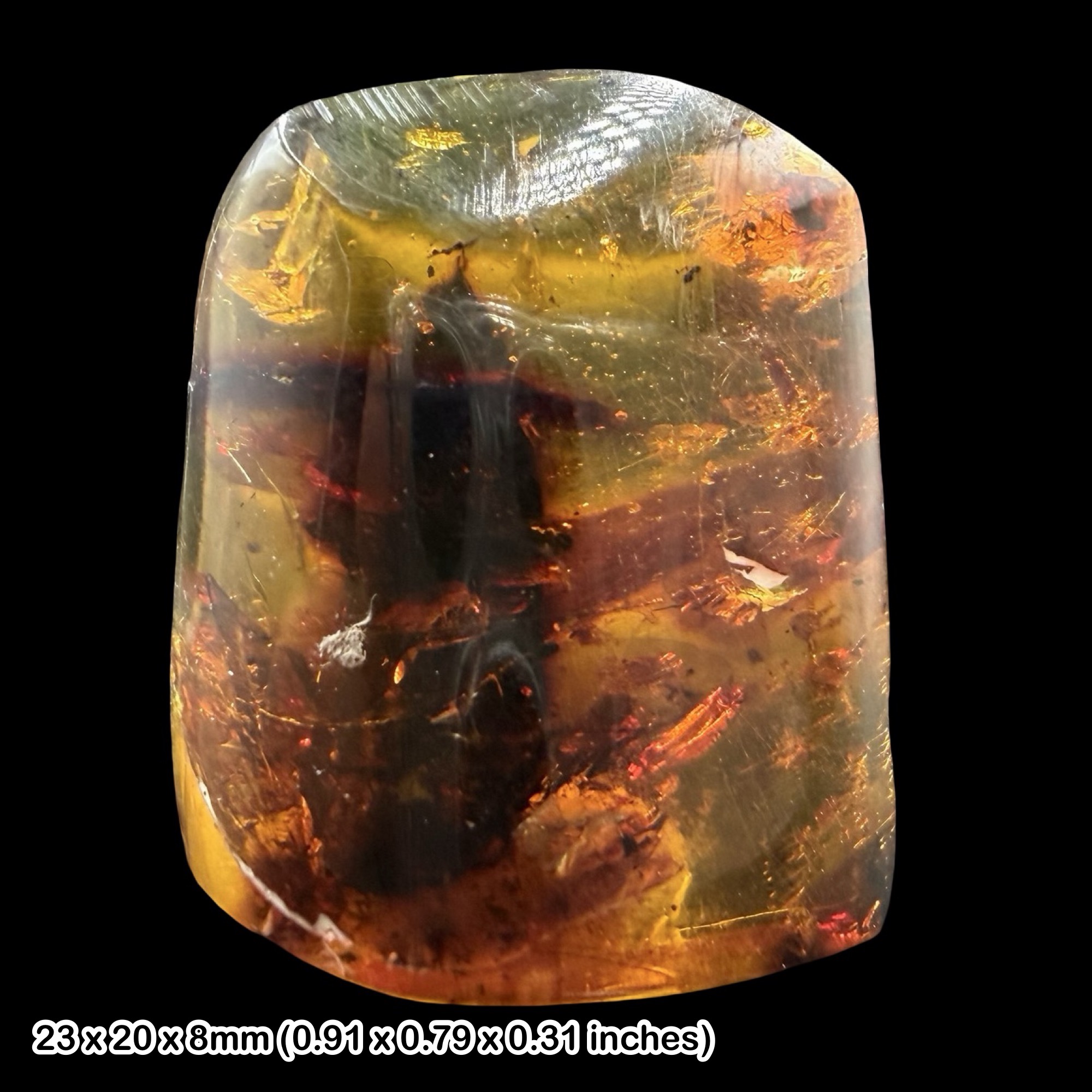 Rare Mexican Amber Fossil with Insects Miocene Chiapas Genuine Amber Inclusion Specimen Natural History Collector Display