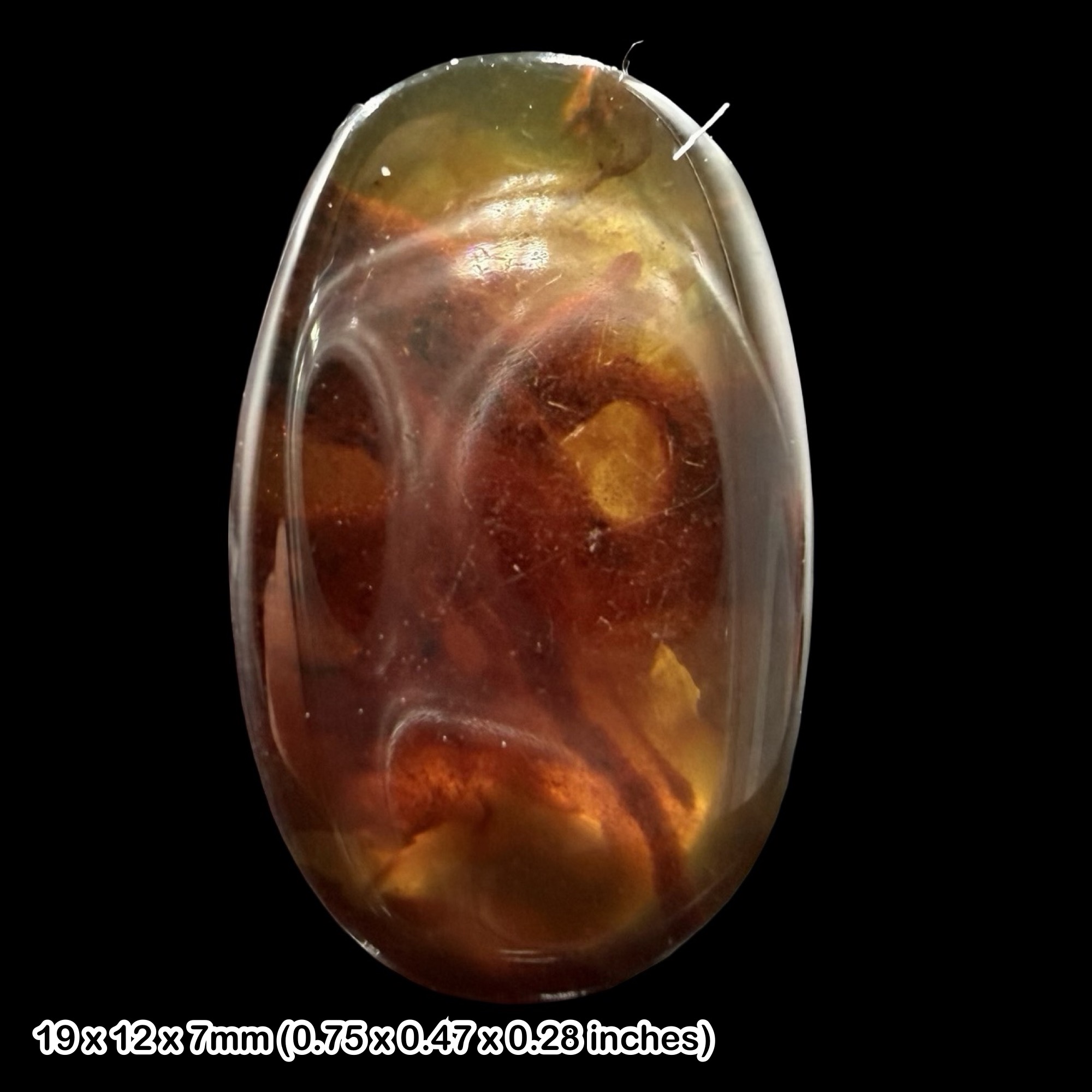 Rare Burmese Amber Fossil with Plant Material Cretaceous Burmite Myanmar Genuine Amber Inclusion Specimen Natural History Collector Display