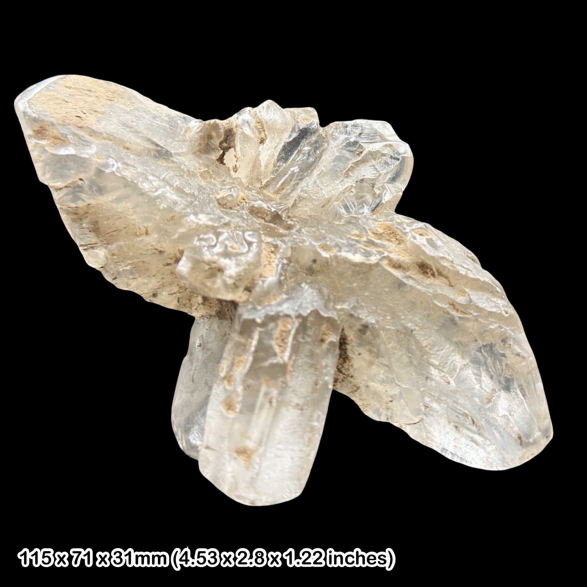 Large Selenite Crystal Isle of Sheppey Kent UK Natural Gypsum Mineral