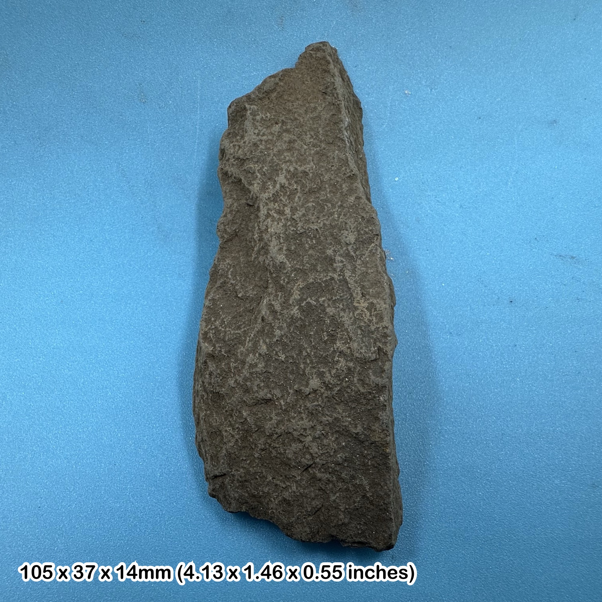 Mudstone, Ordovician, Wales, UK (TEACHING CLASS ROCK) GCSE GEOLOGY