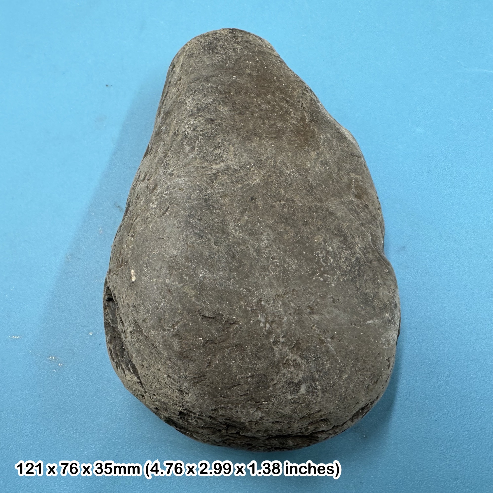 Uk oil shale, fracking rock sample