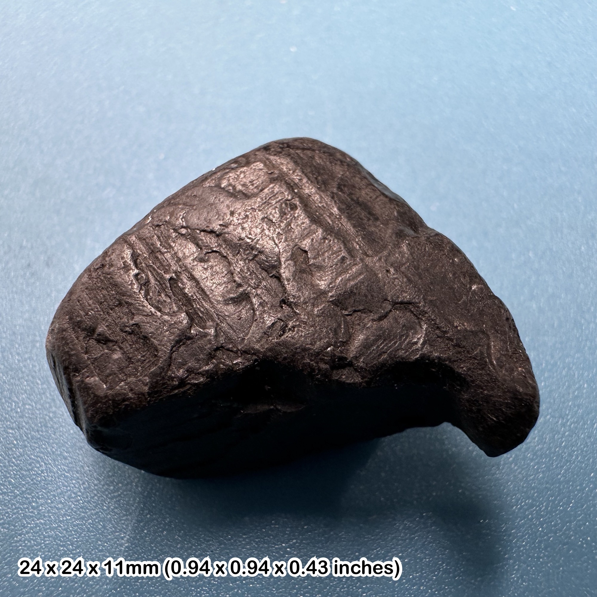 Whitby Jet Fossil Gemstone - Genuine Jurassic Lignite Araucaria Fossilised Wood - Rare Black Mineraloid from Whitby UK