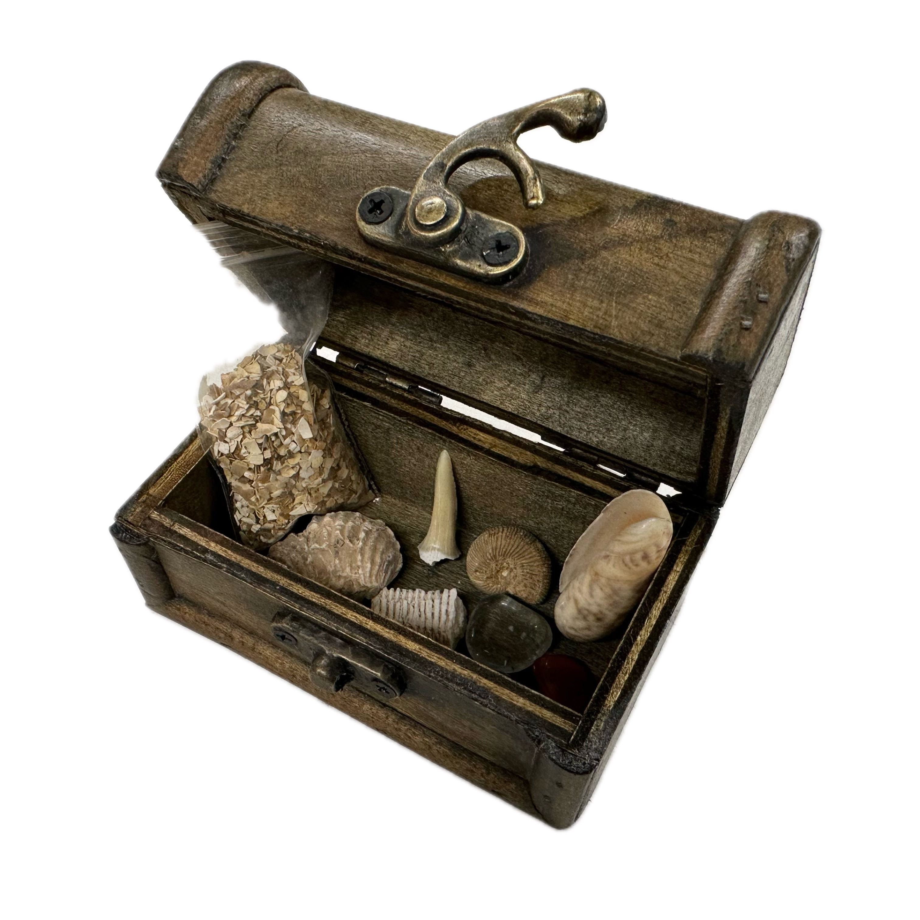 Treasure chest gift with real fossils, crystals, and gemstones - genuine