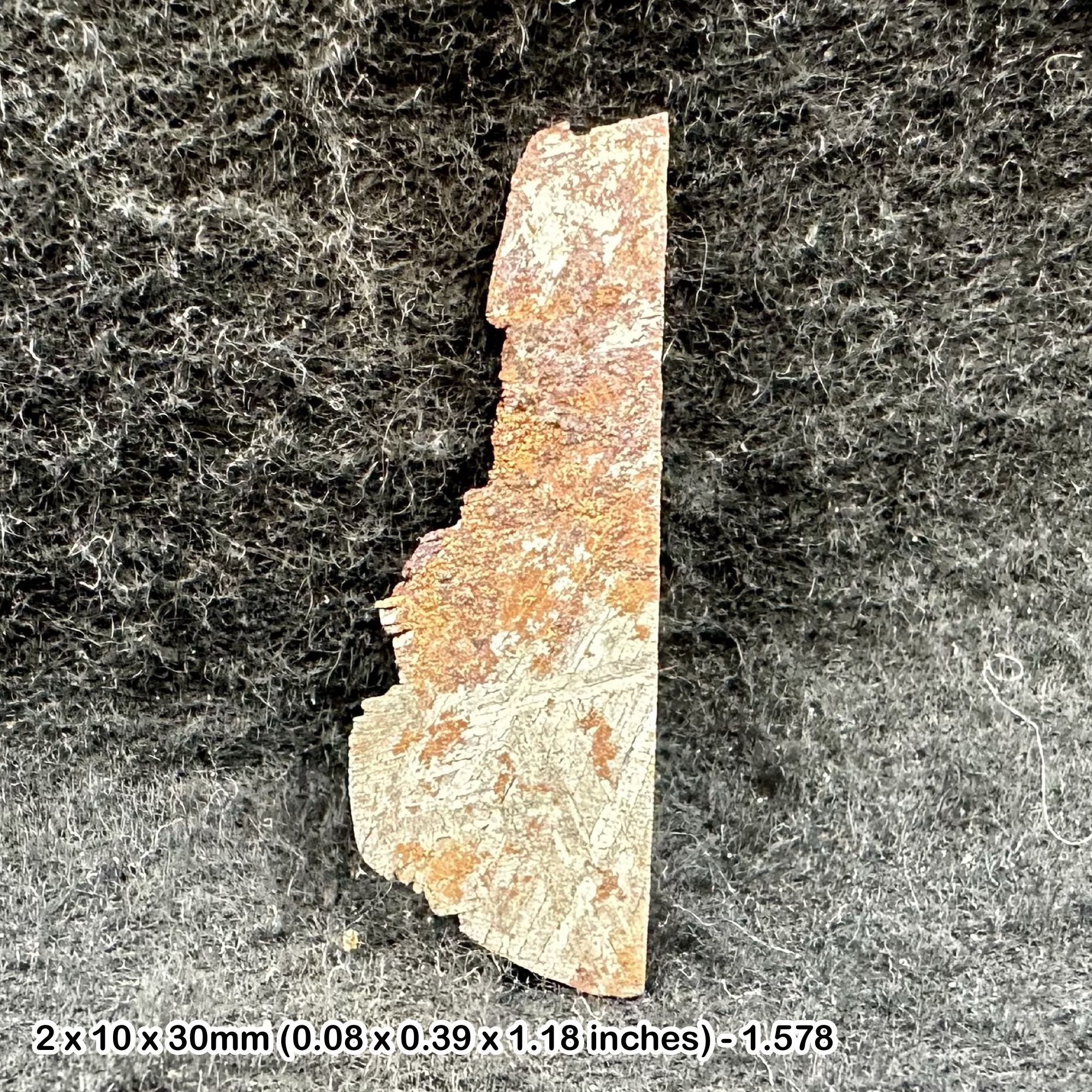 Muonionalusta meteorite slice - swedish space rock with widmanstatten pattern