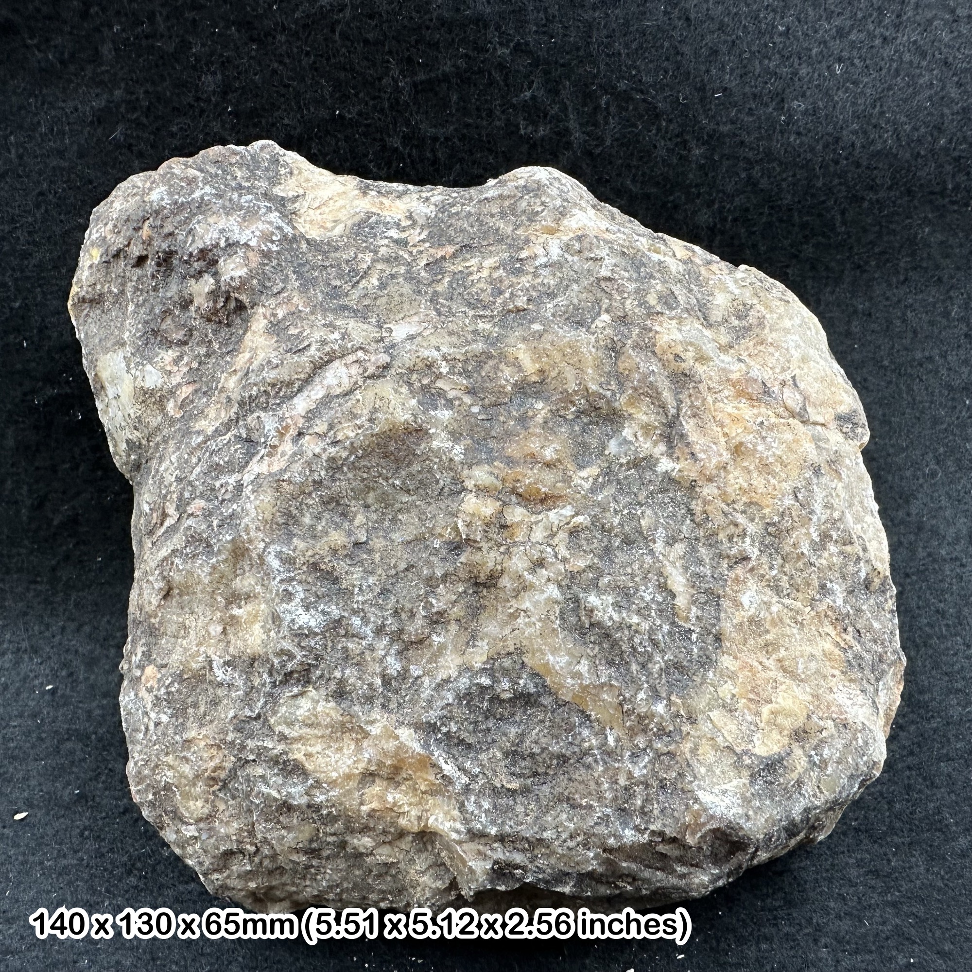 Dinosaur Coprolite Fossil 1.25kg Morrison Formation Jurassic Colorado USA Genuine Specimen Fossilised Dung with Certificate Authenticity
