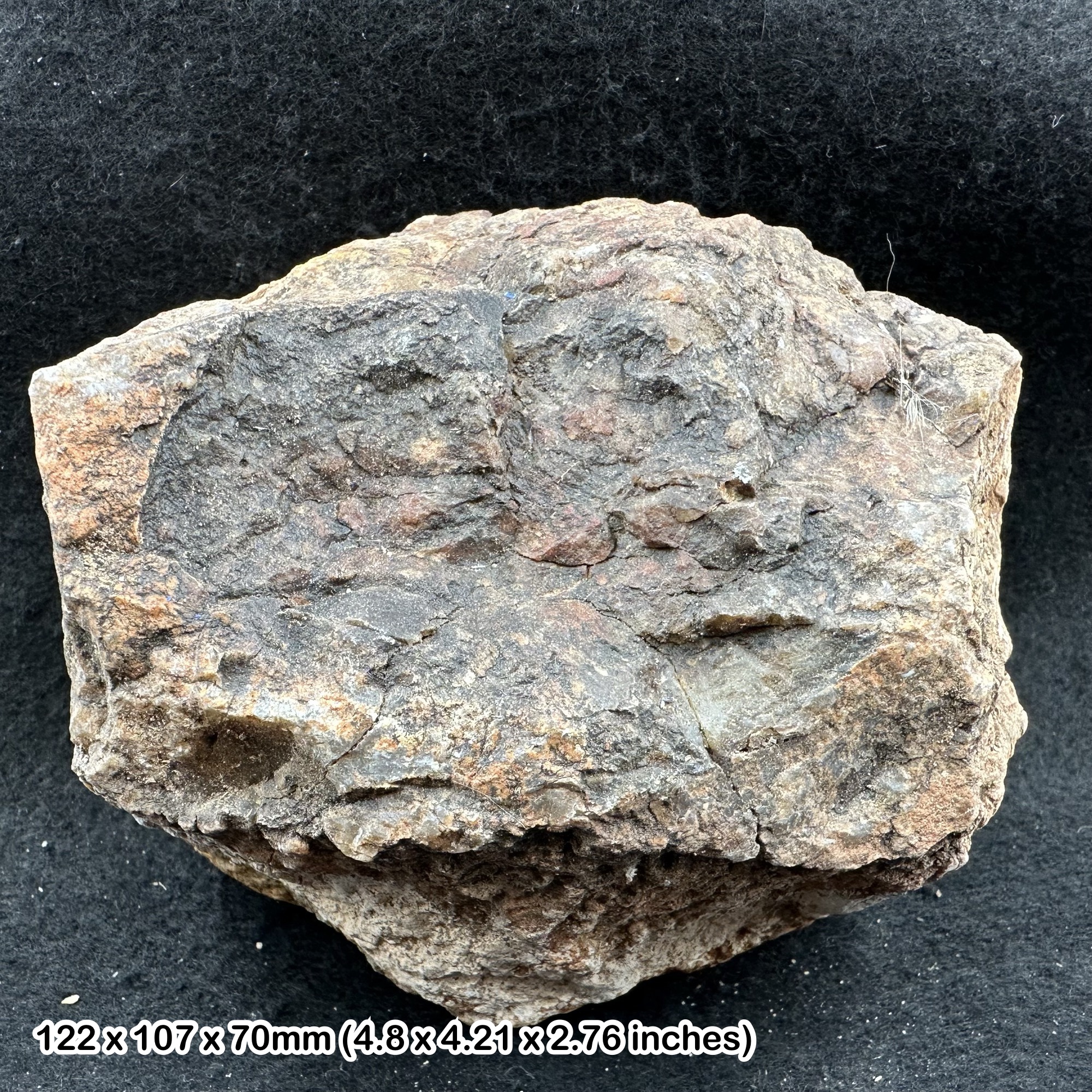 Dinosaur Coprolite Fossil 1.30kg Morrison Formation Jurassic Colorado USA Genuine Specimen Fossilised Dung with Certificate Authenticity