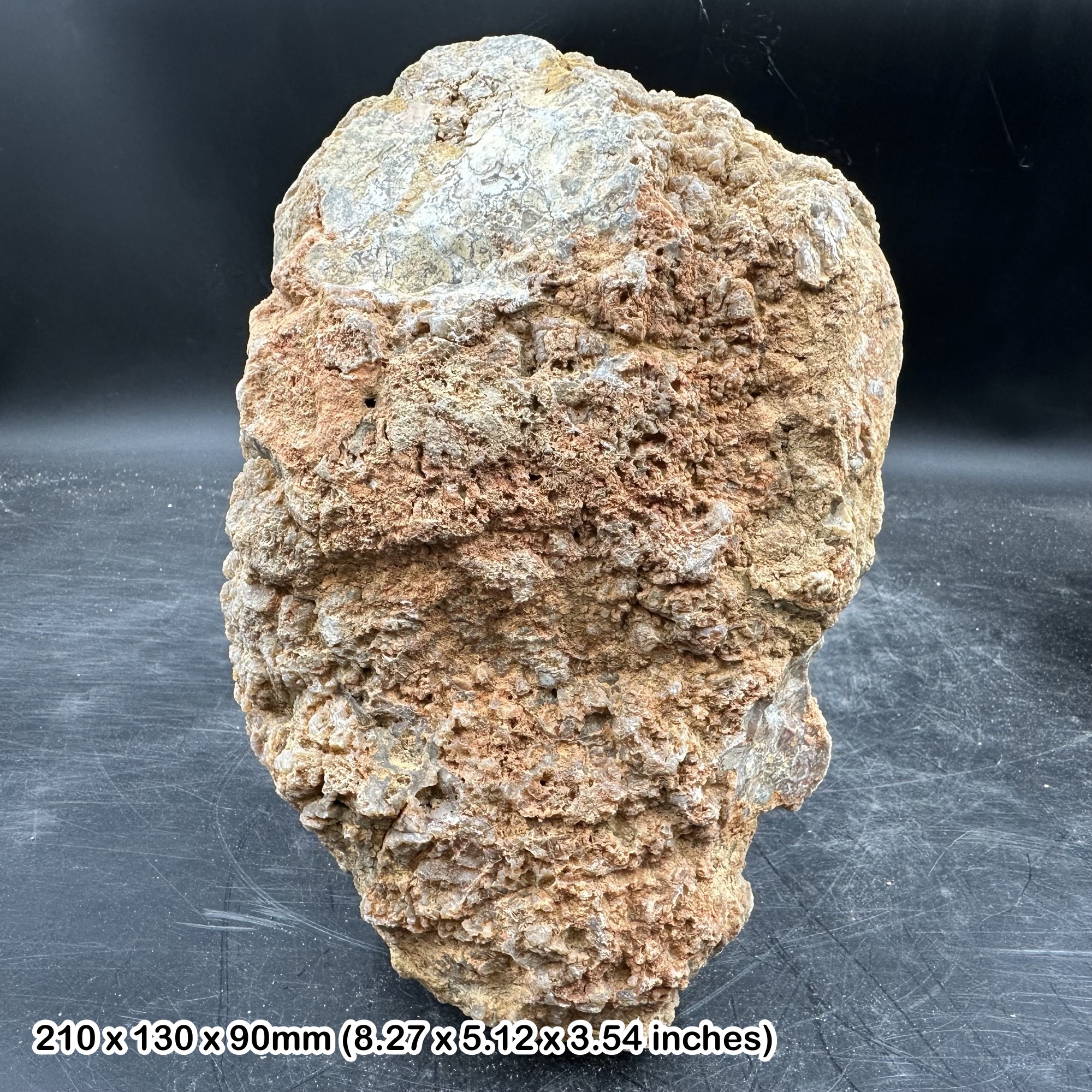Dinosaur Coprolite Fossil 3.80kg Morrison Formation Jurassic Colorado USA Genuine Specimen Fossilised Dung with Certificate Authenticity